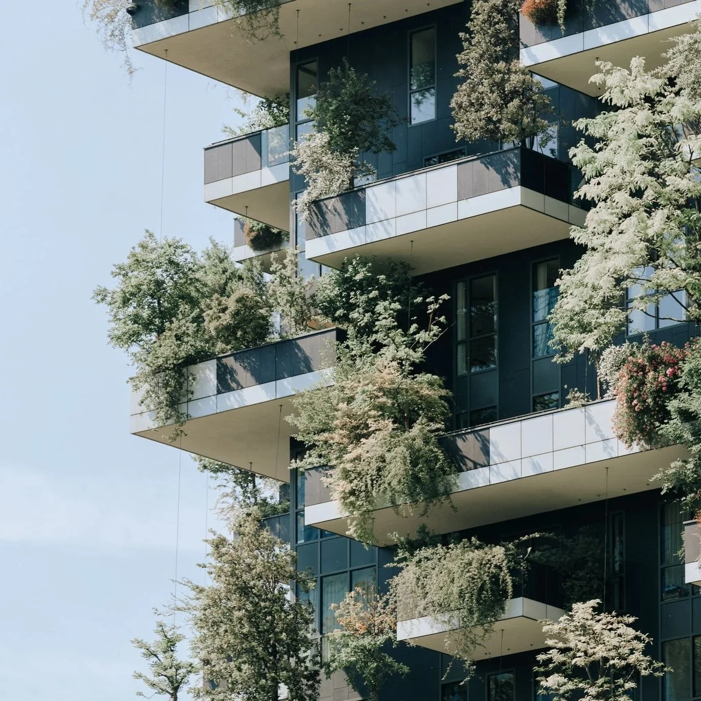 Urban Modern Architecture