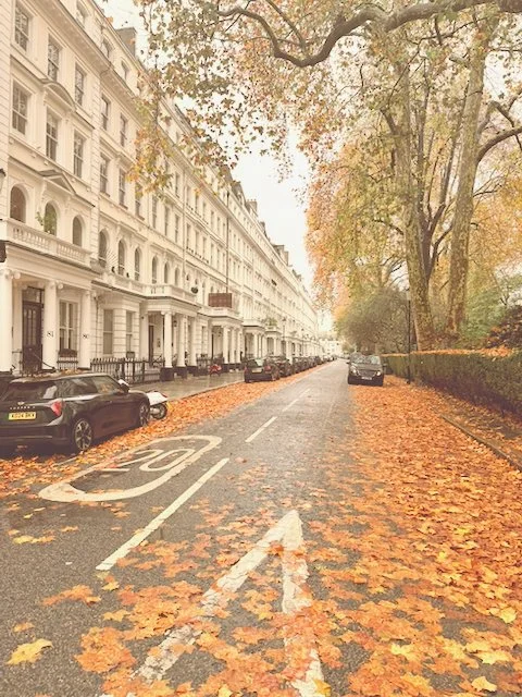 Leaf-covered London street in November