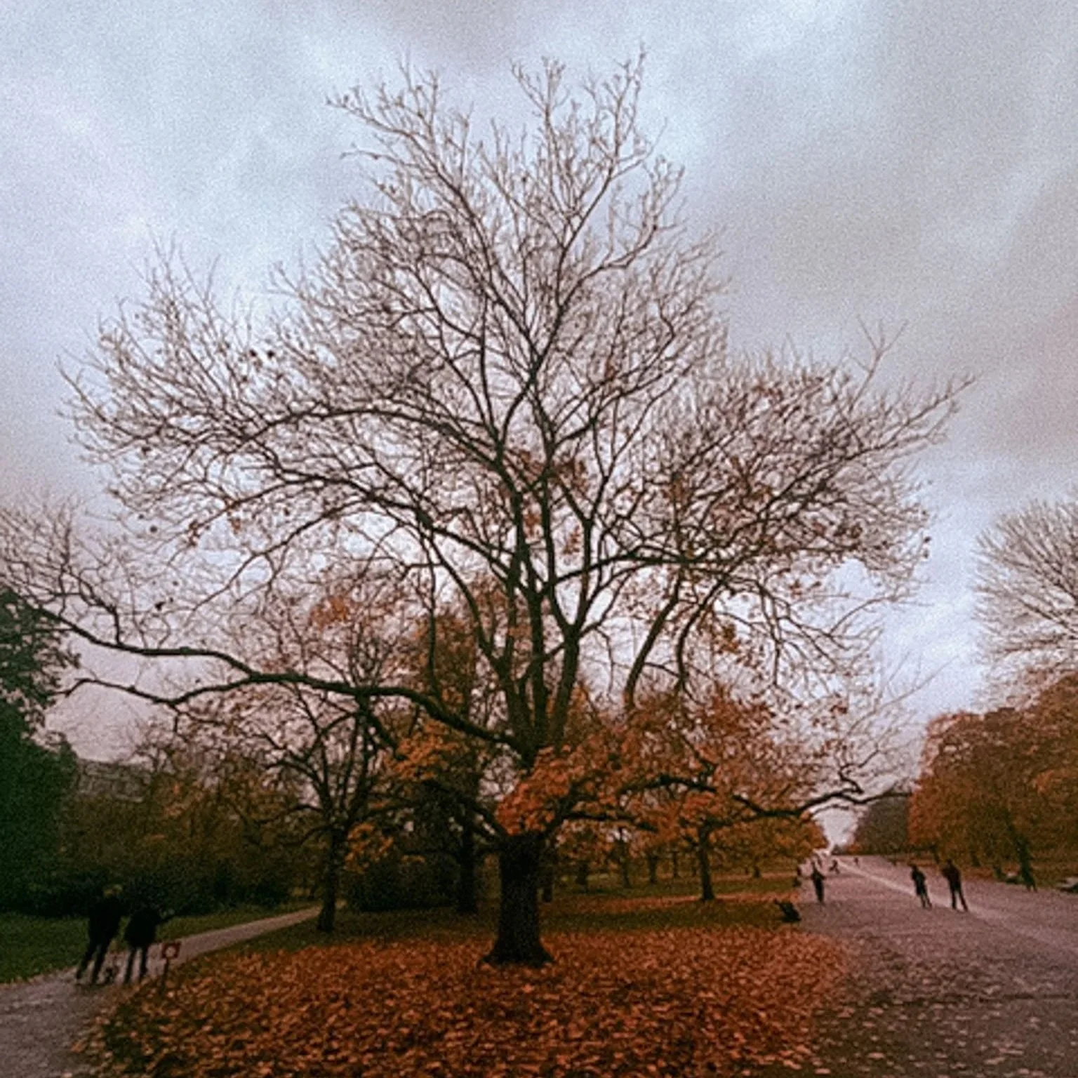 November in London