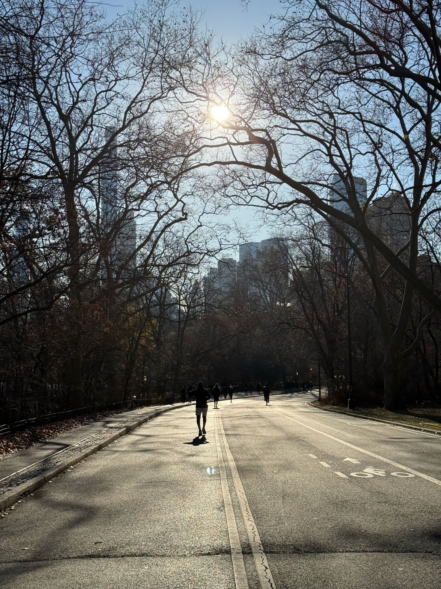 Central Park Path in Winter