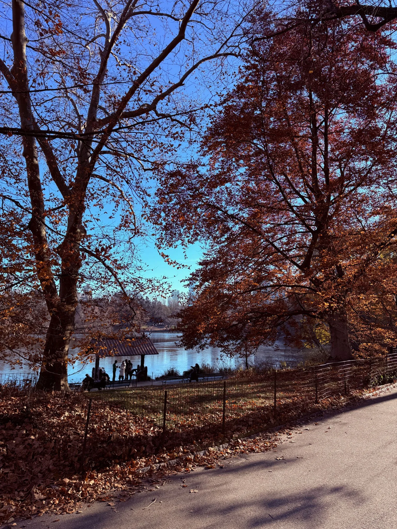 Central Park Late Autumn Path