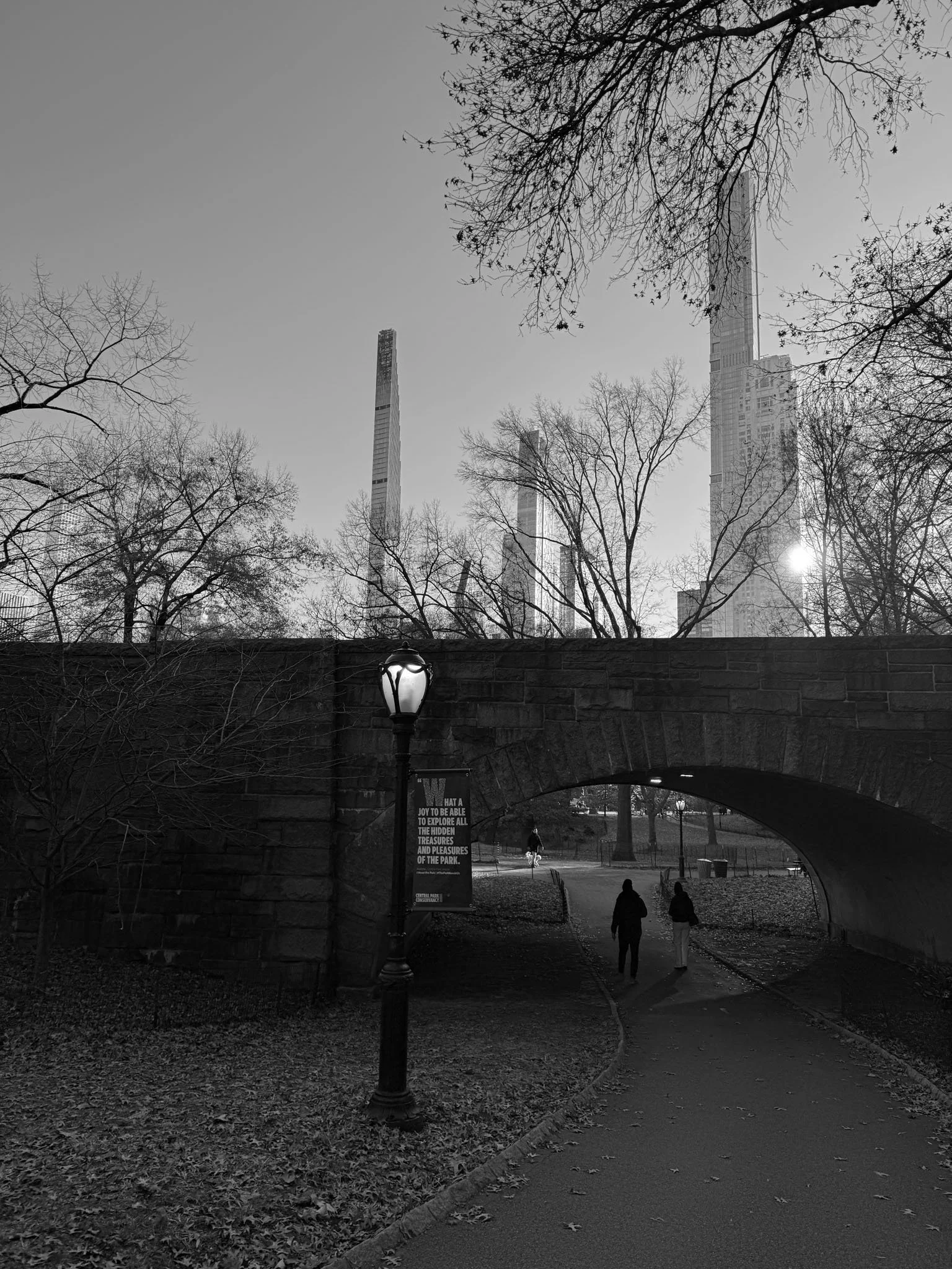 Bridge and Pathway in Central Park
