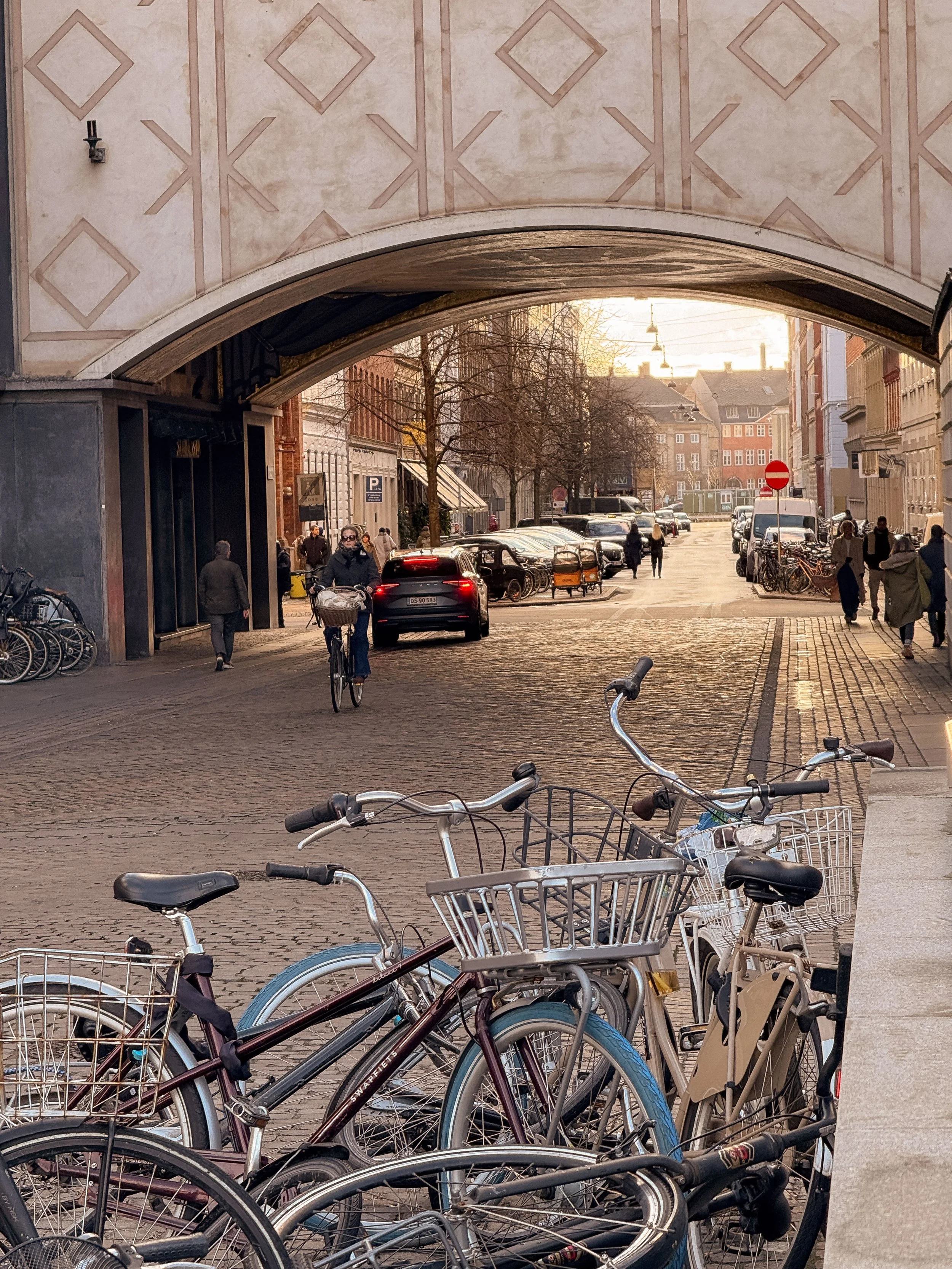 Bicycles Parked Along a Copenhagen Street