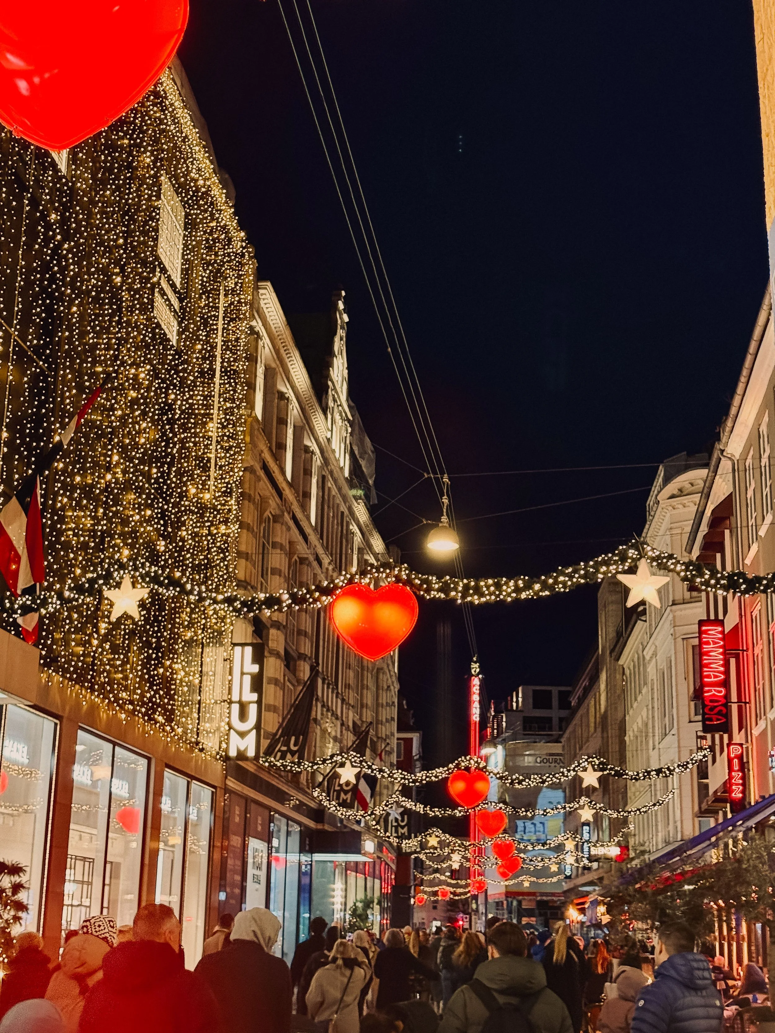 Evening Street Lights in Winter Copenhagen
