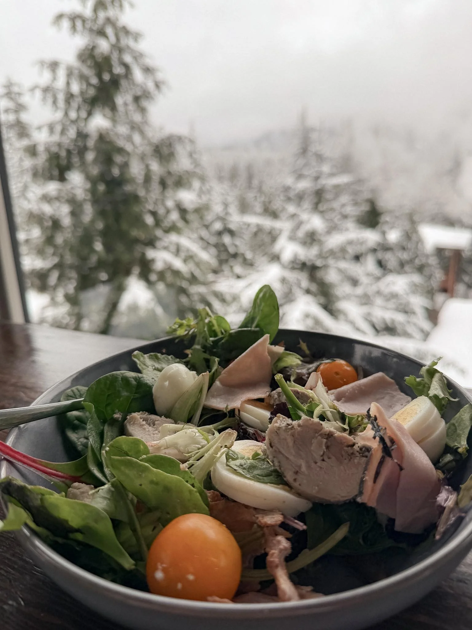 Wellness Lunch with Snowy Forest View in Whistler