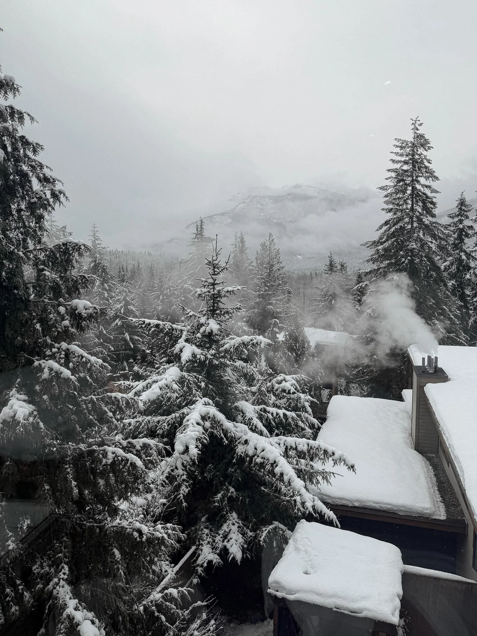 Winter Forest View at Scandinave Spa Whistler