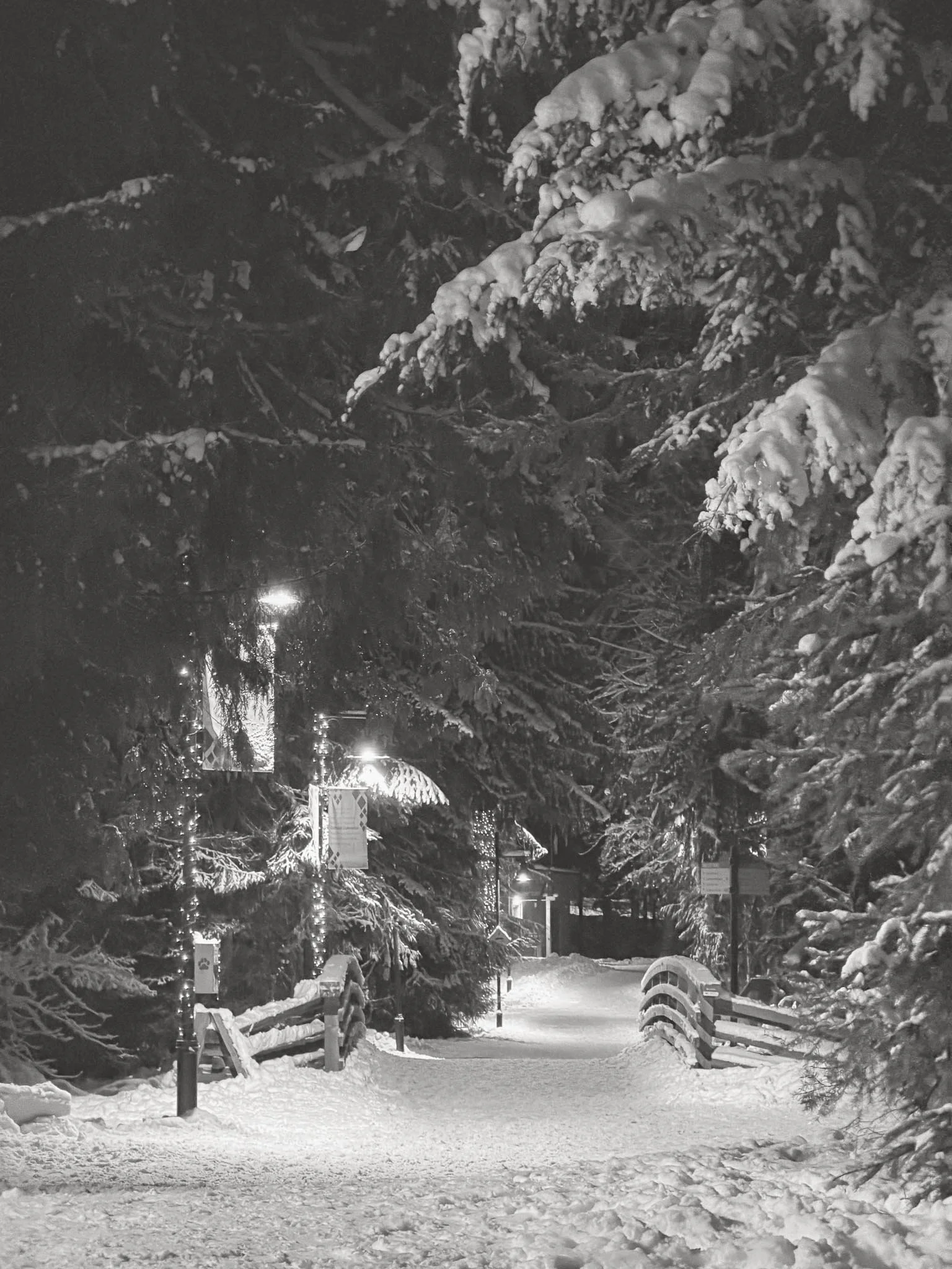 Snowy Forest Path at Night in Whistler