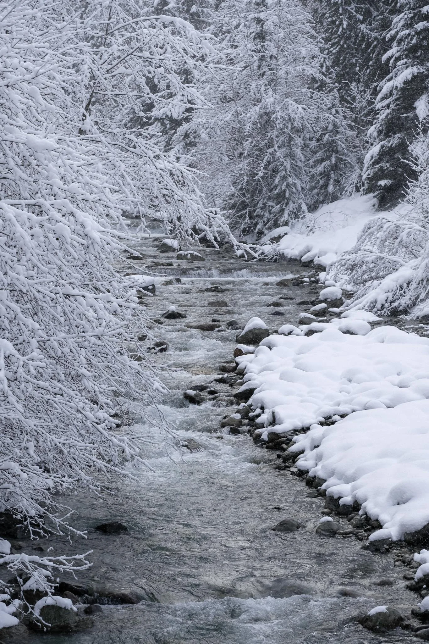 Winter River Flowing Through Whistler Forest