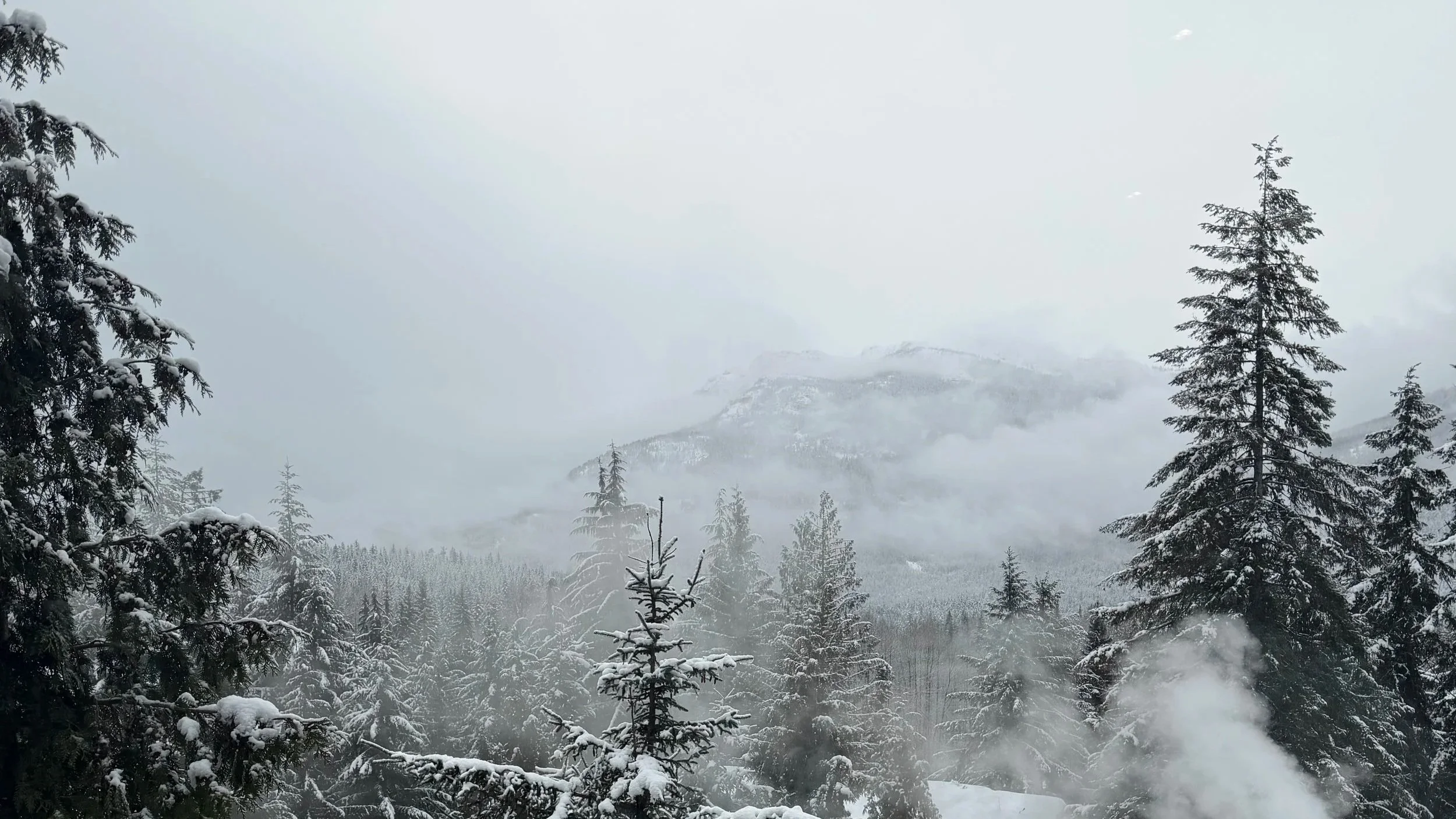 Life in the Mountains · Whistler
