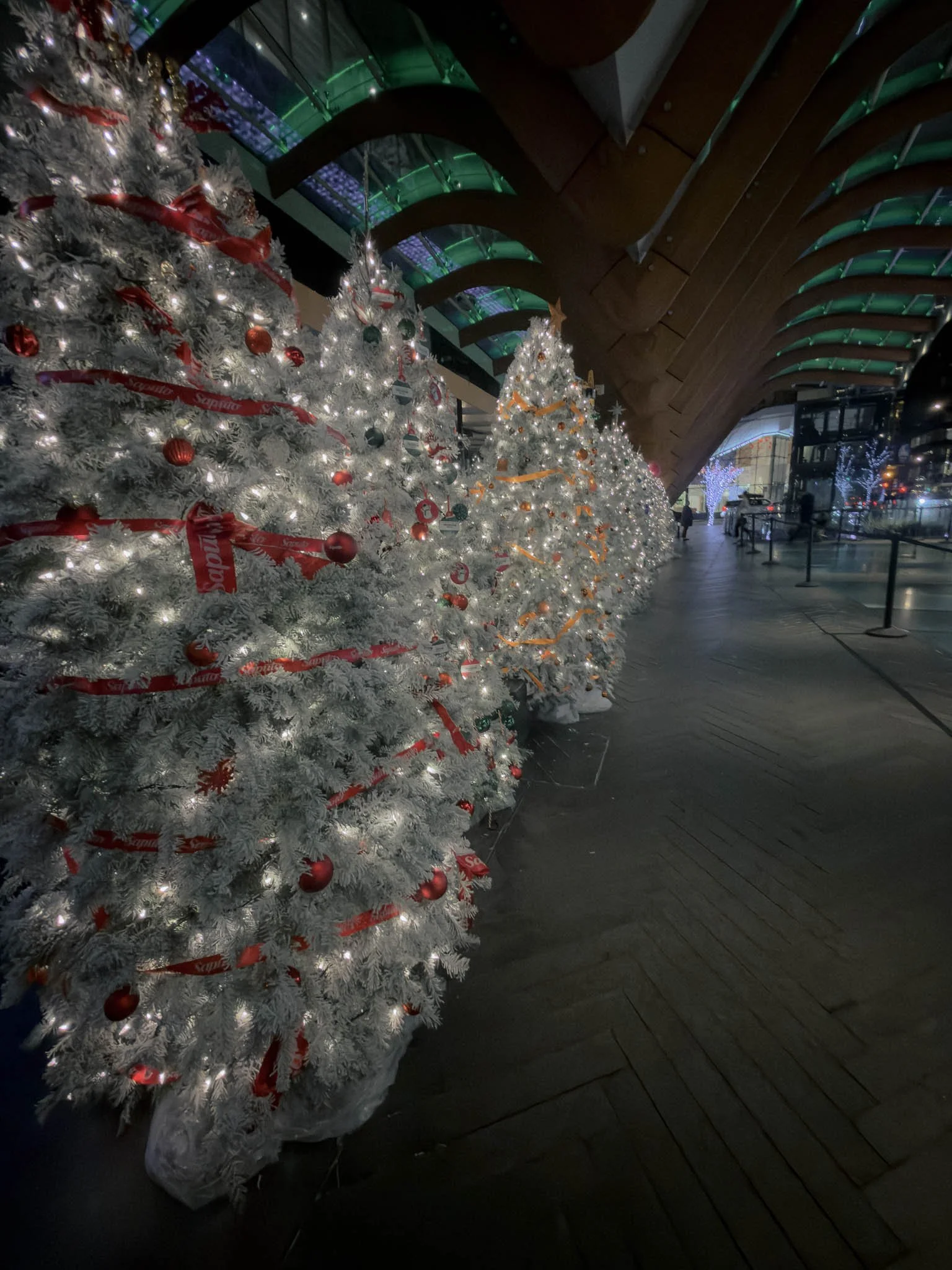 Moody Vancouver Night Streets in Winter