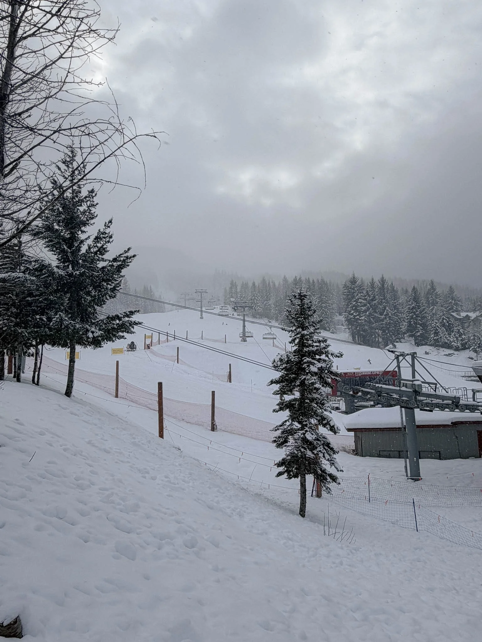 Snowy Winter Landscape in Whistler
