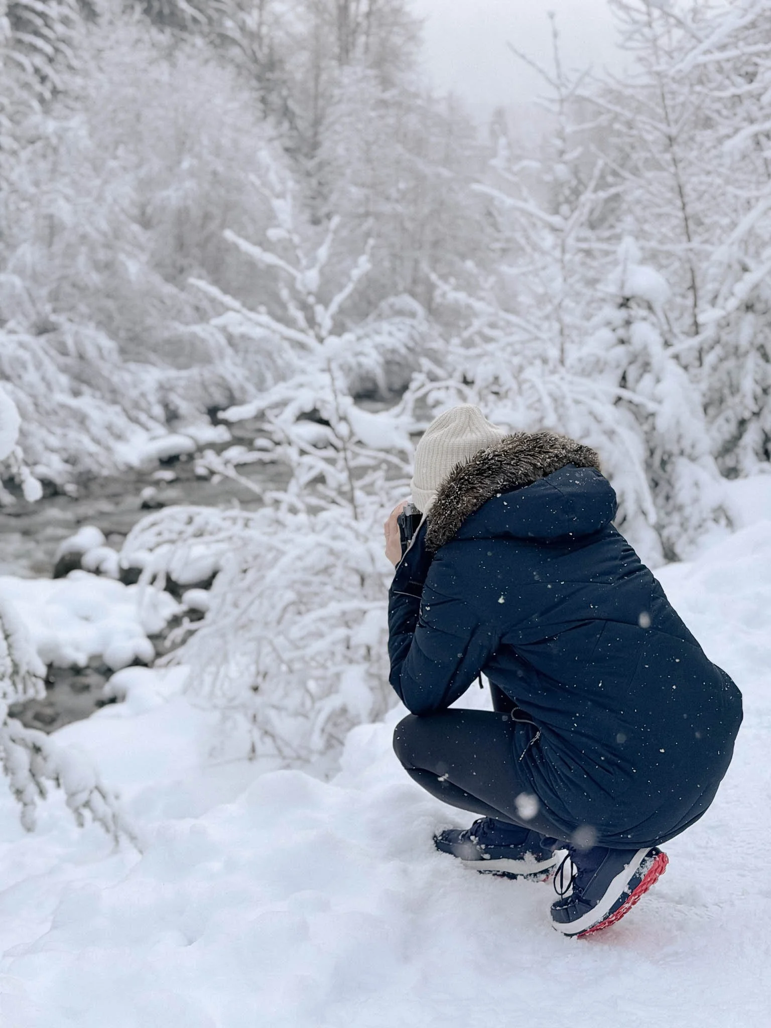 Winter Walks in Whistler Forests