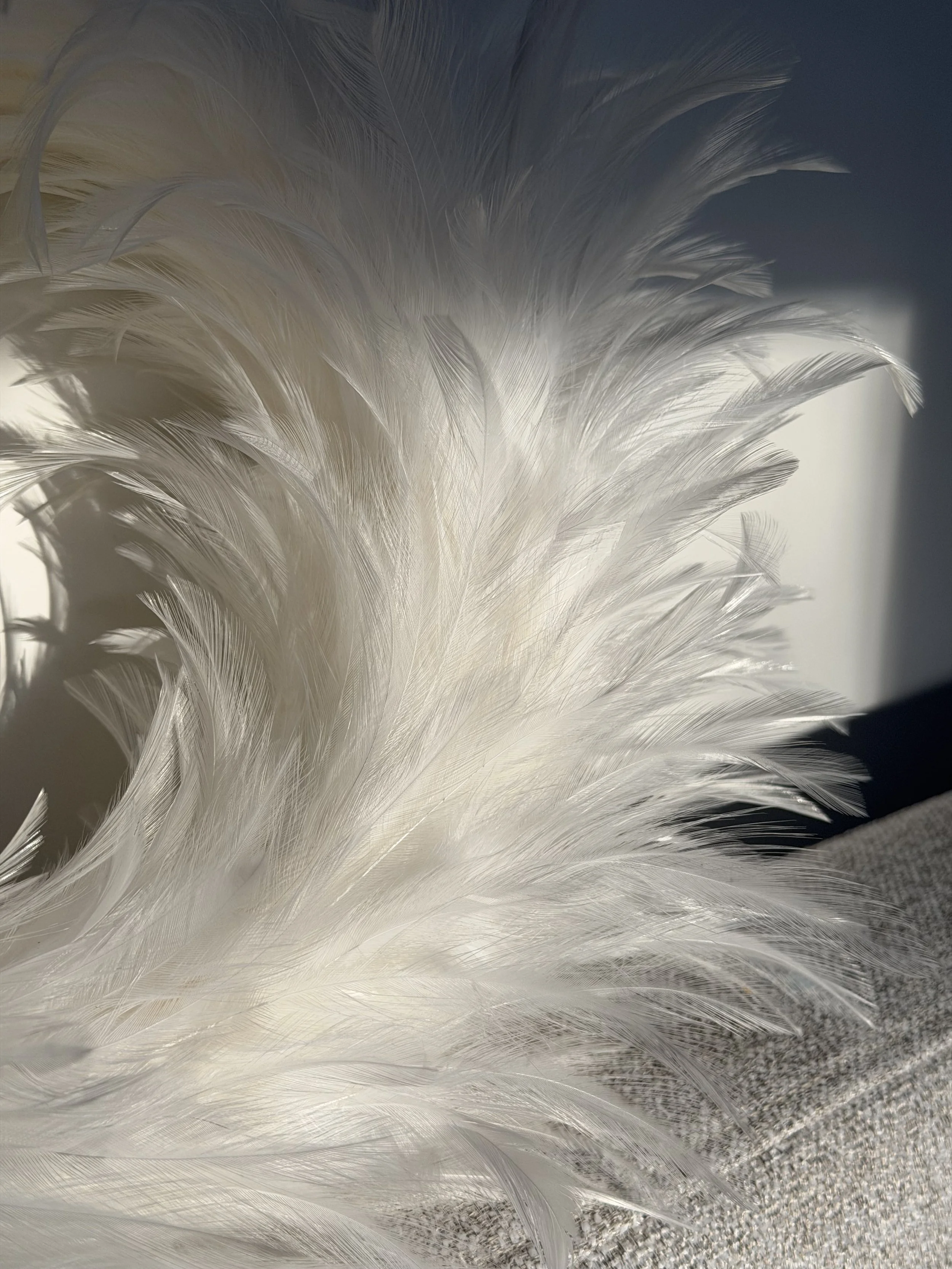 Material &amp; Texture Detail