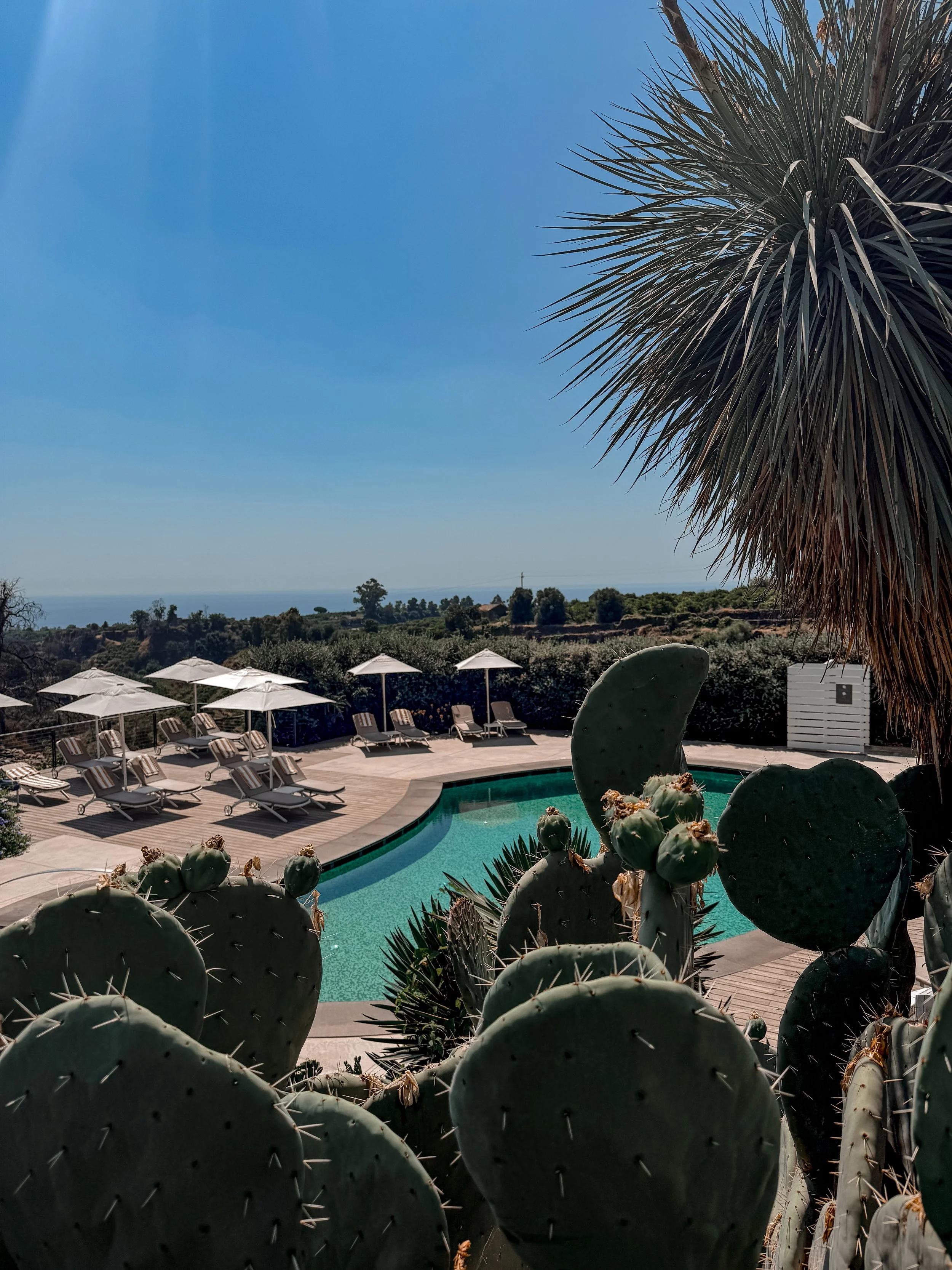 Resort Poolside Experience