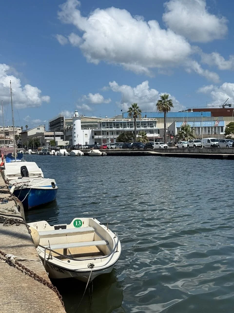 small boats moored along a waterfront with buildings and palm trees in the background