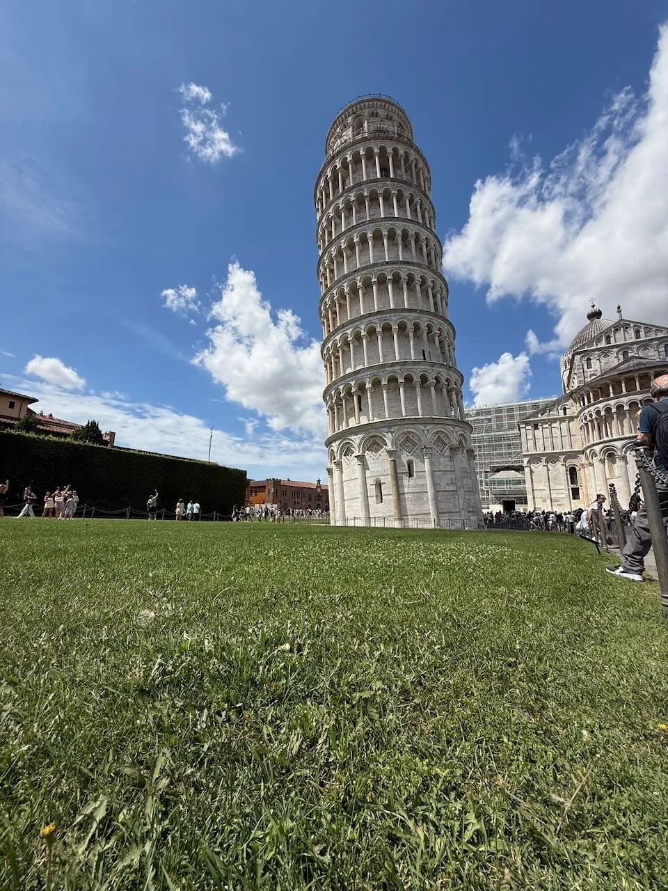 leaning tower of pisa viewed from a low angle with grass in the foreground