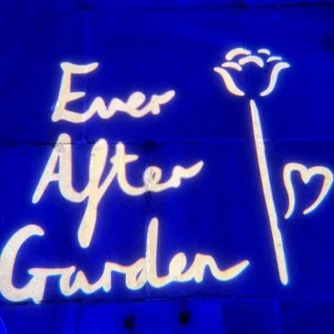 Neon Ever After Garden sign glowing against a deep blue wall at night in Chelsea, London.