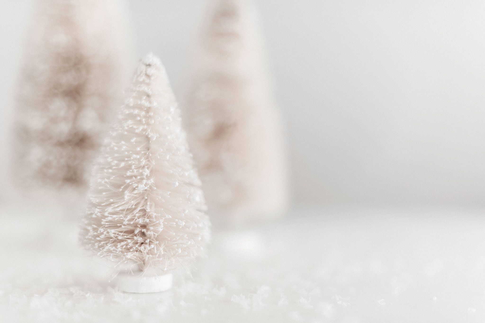Neutral winter trees in soft focus, styled with white space to symbolise clarity and calm after the holiday season