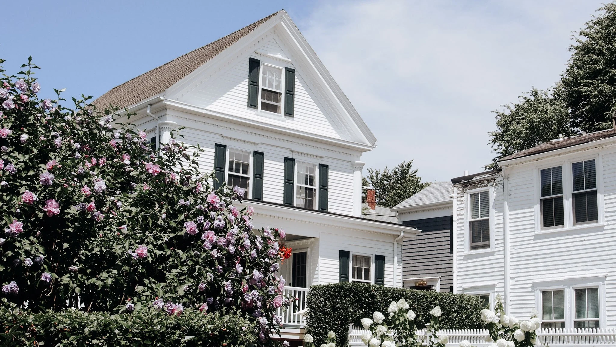 “Classic New England Cape Cod home with white clapboard siding, dark shutters, pitched roof and summer blooms in the garden — iconic coastal American architecture.”