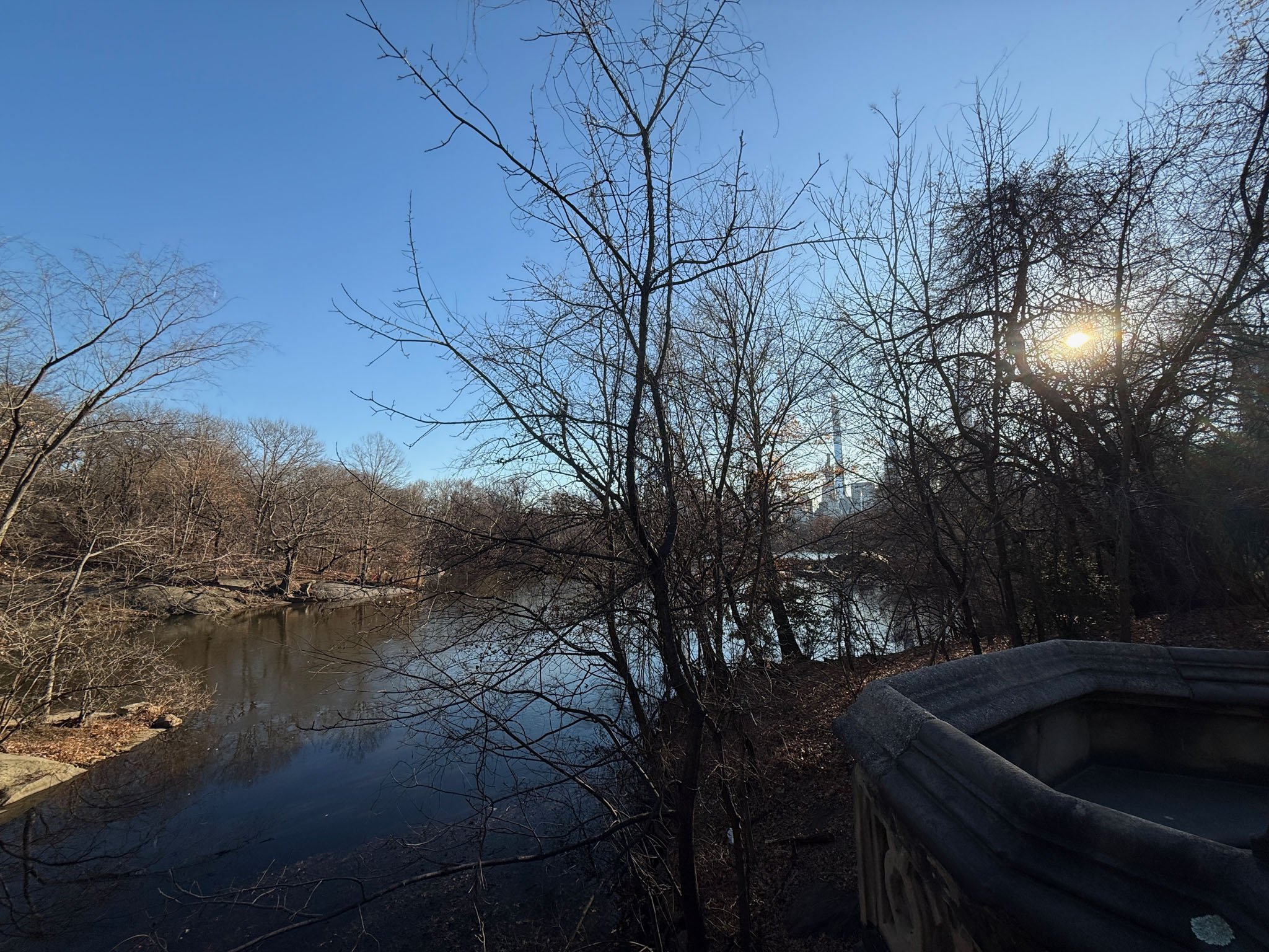 Calm water reflecting winter light in Central Park surrounded by bare trees.