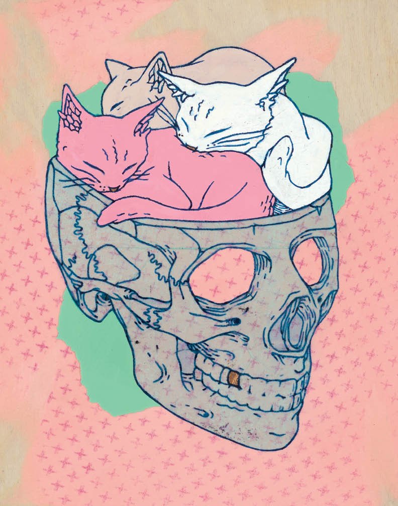 kitty skolbowl web.jpg