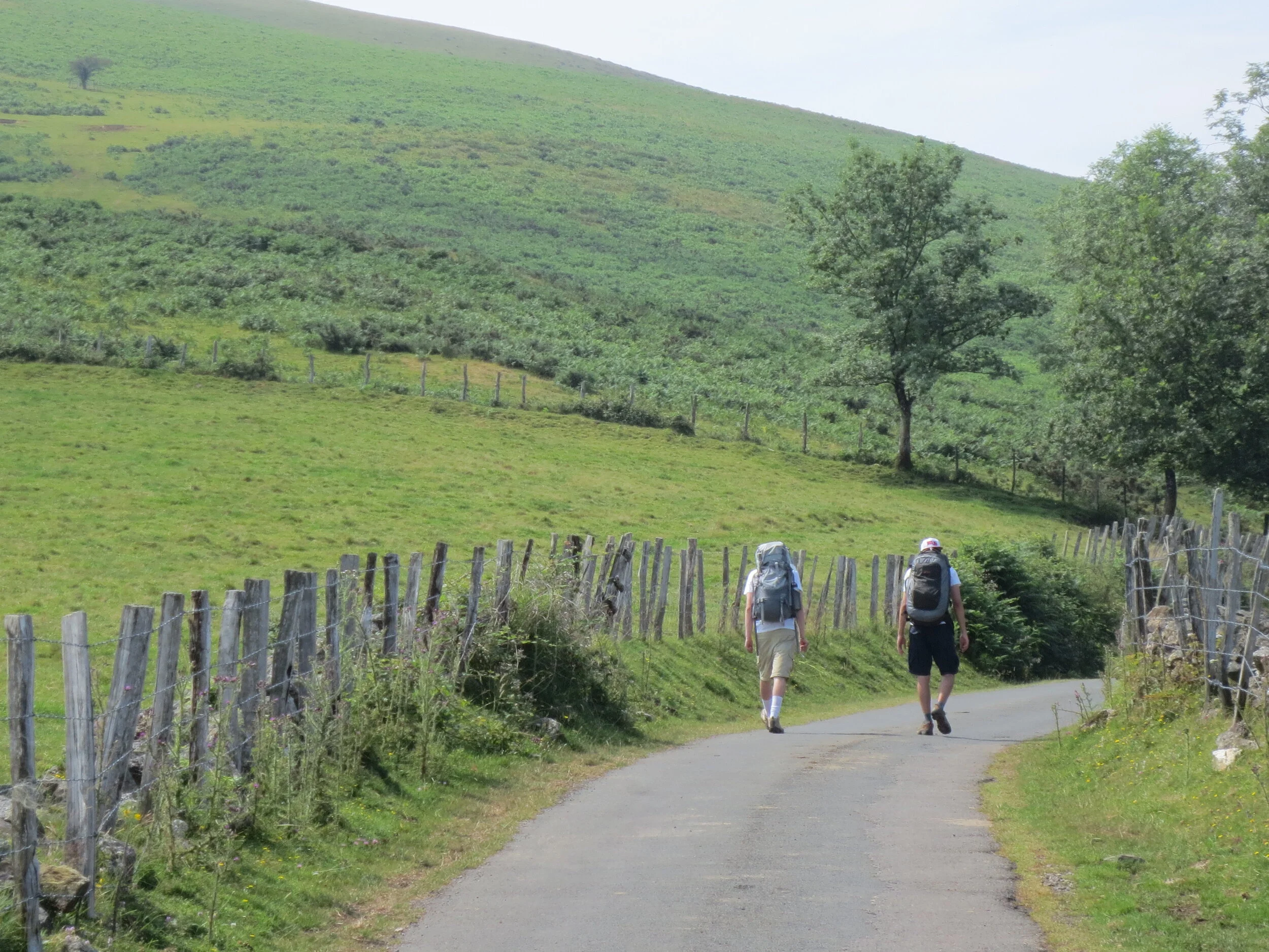 40 Days of Camino Paths