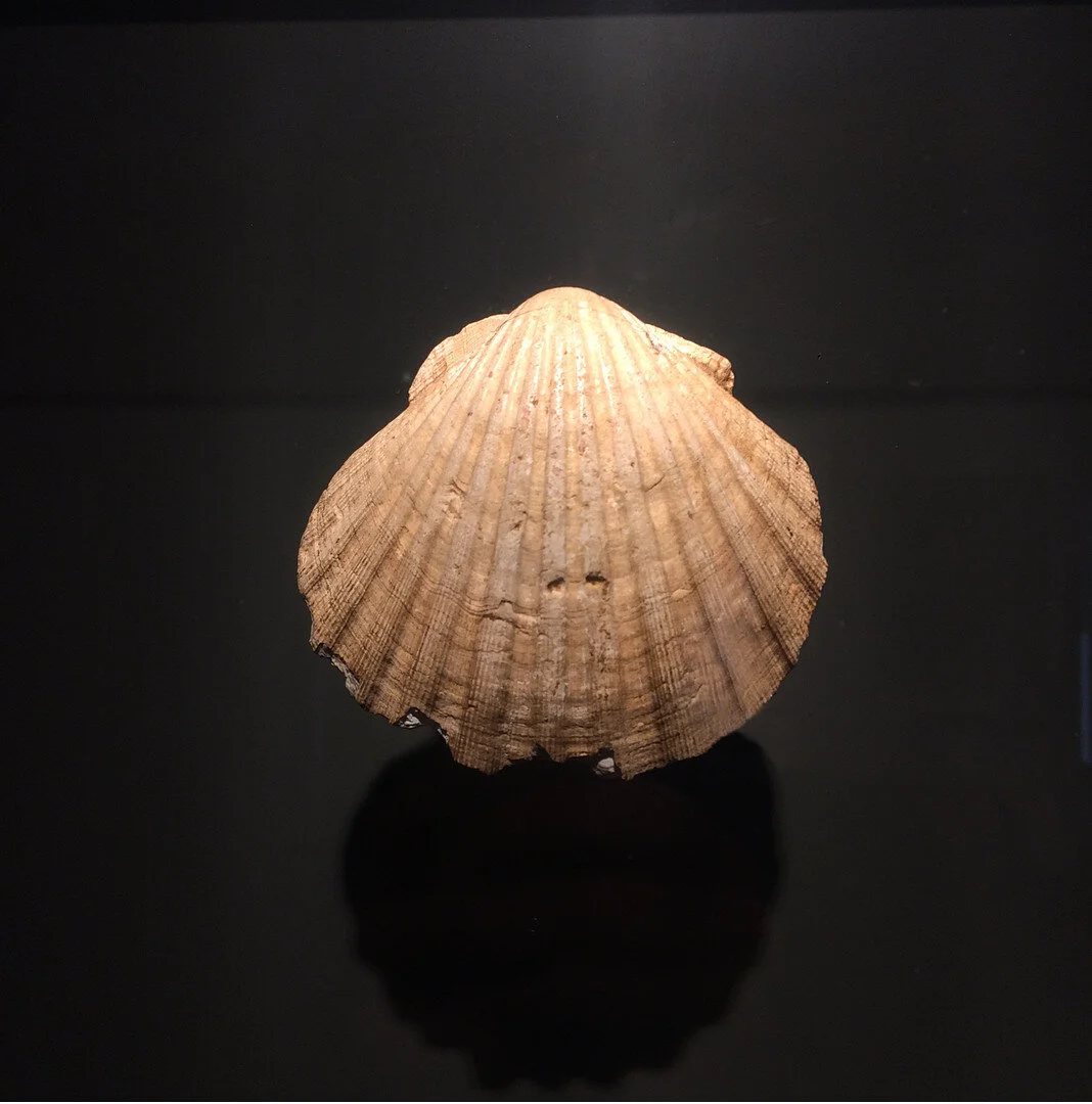 A Camino Symbol of Community