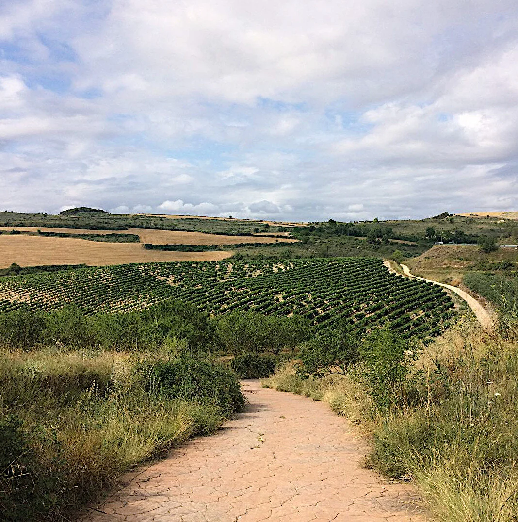 A long stretch of pilgrim road on the Camino Frances to Santiago de Compostela. Spain, 2013.