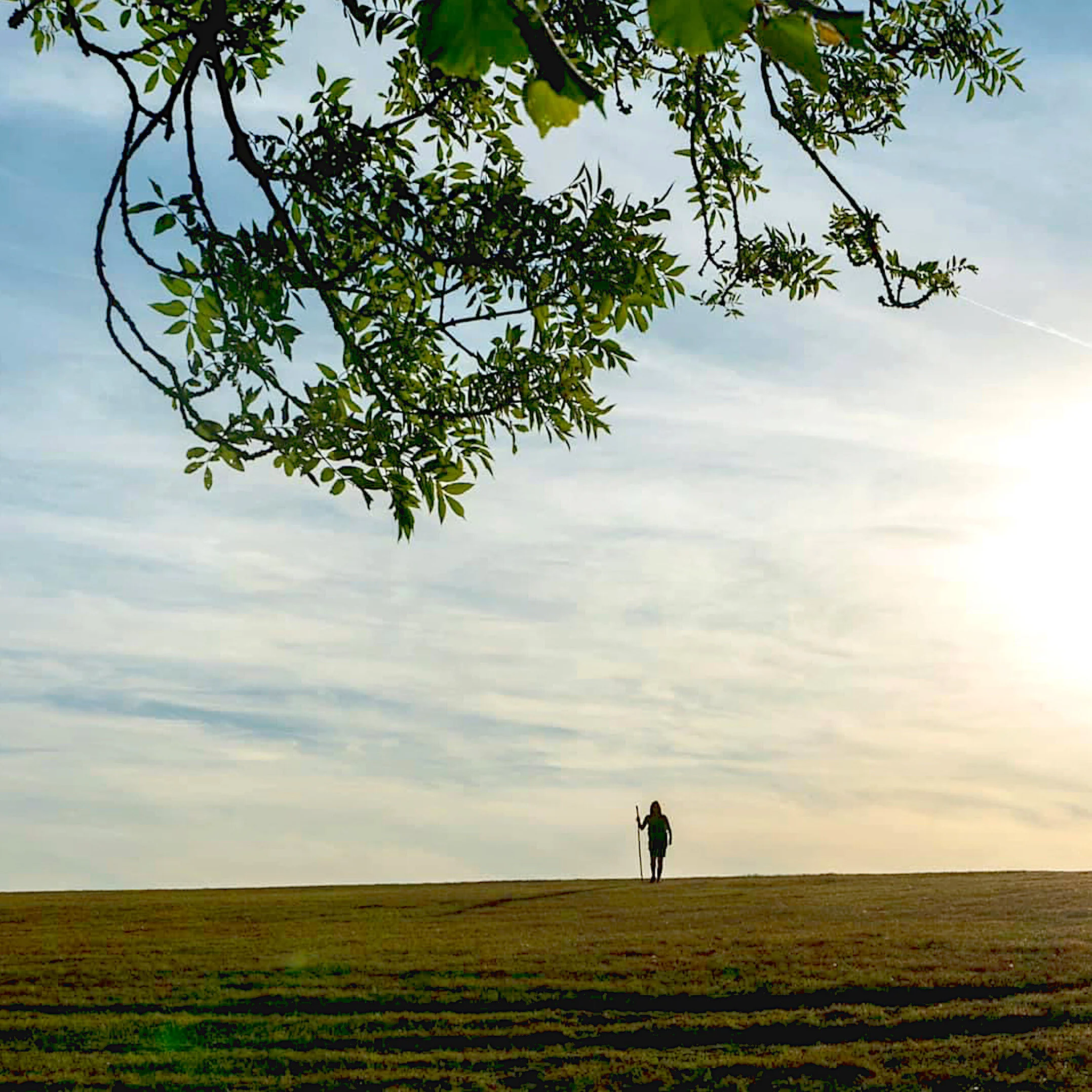 Photo courtesy of Will Walking and The Old Way: Southampton to Canterbury, an Ancient British Camino.