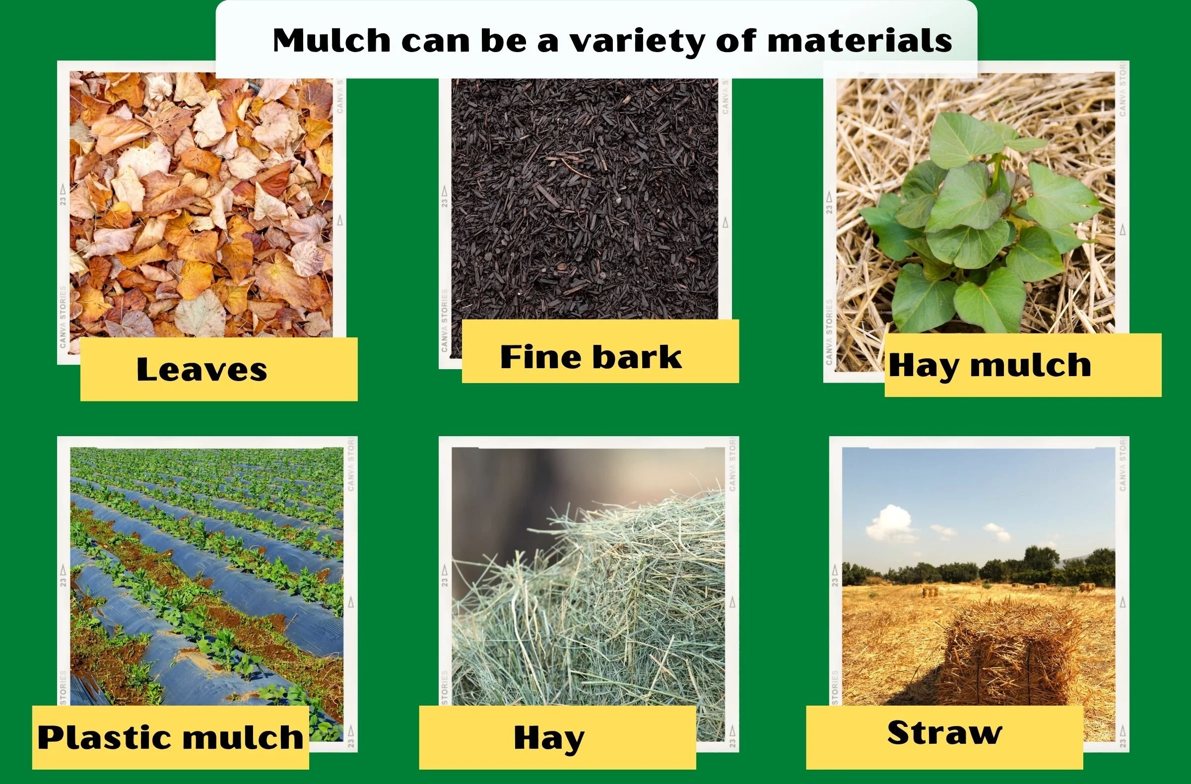 10+ Tips to Successfully Mulch Your Vegetable Garden — Cindy Heath