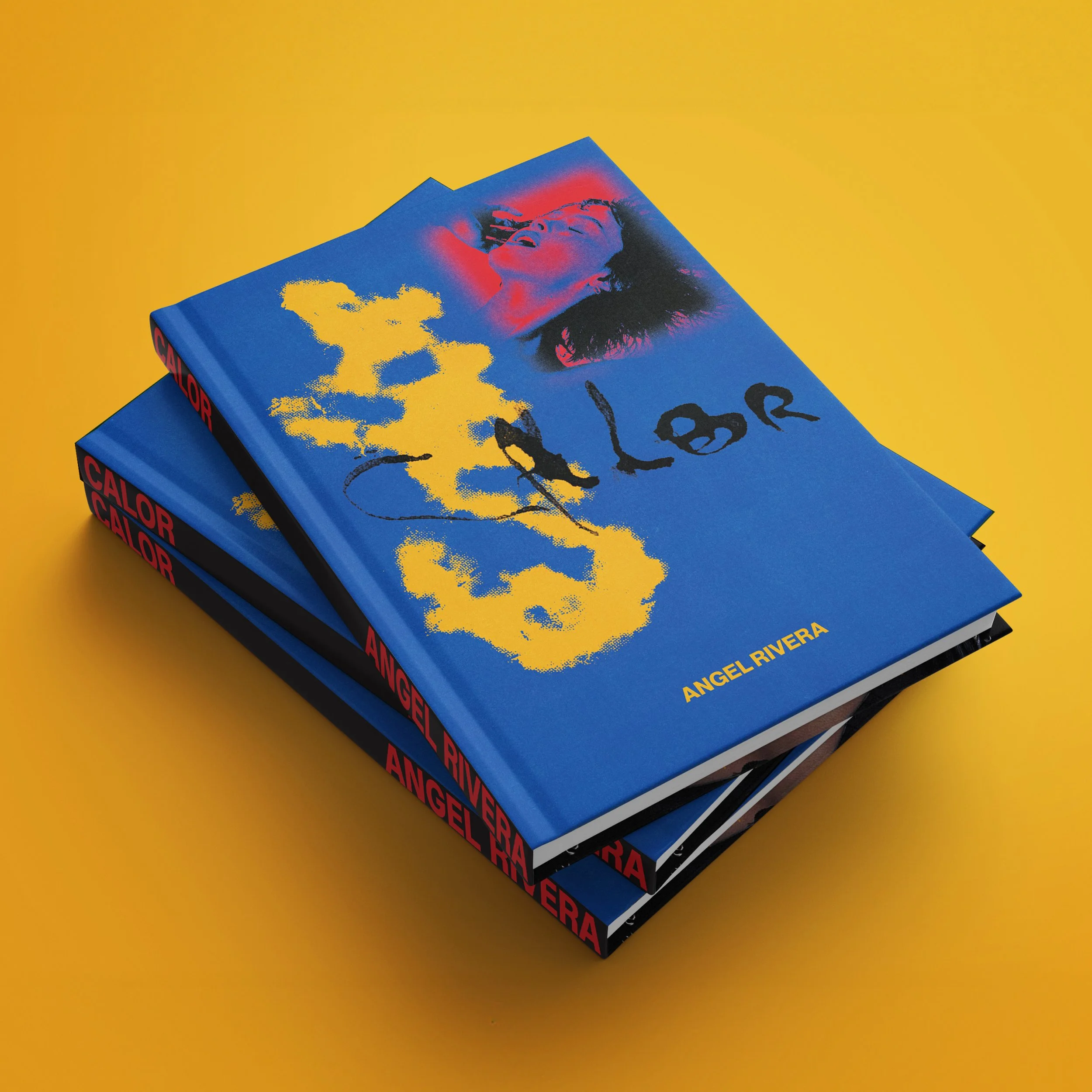 BOOKMOCKUPS-FINAL5.jpg