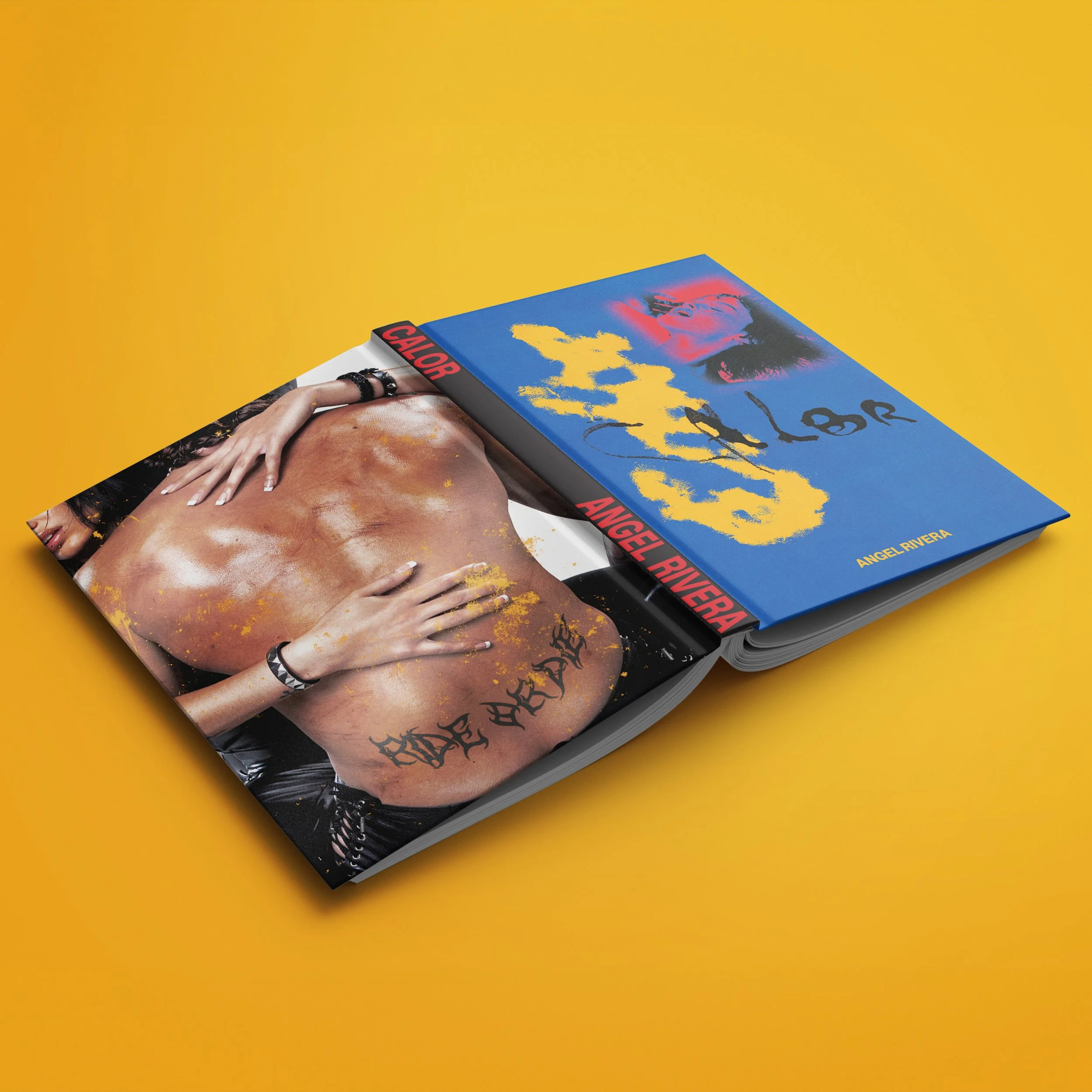 BOOKMOCKUPS-FINAL2.jpg