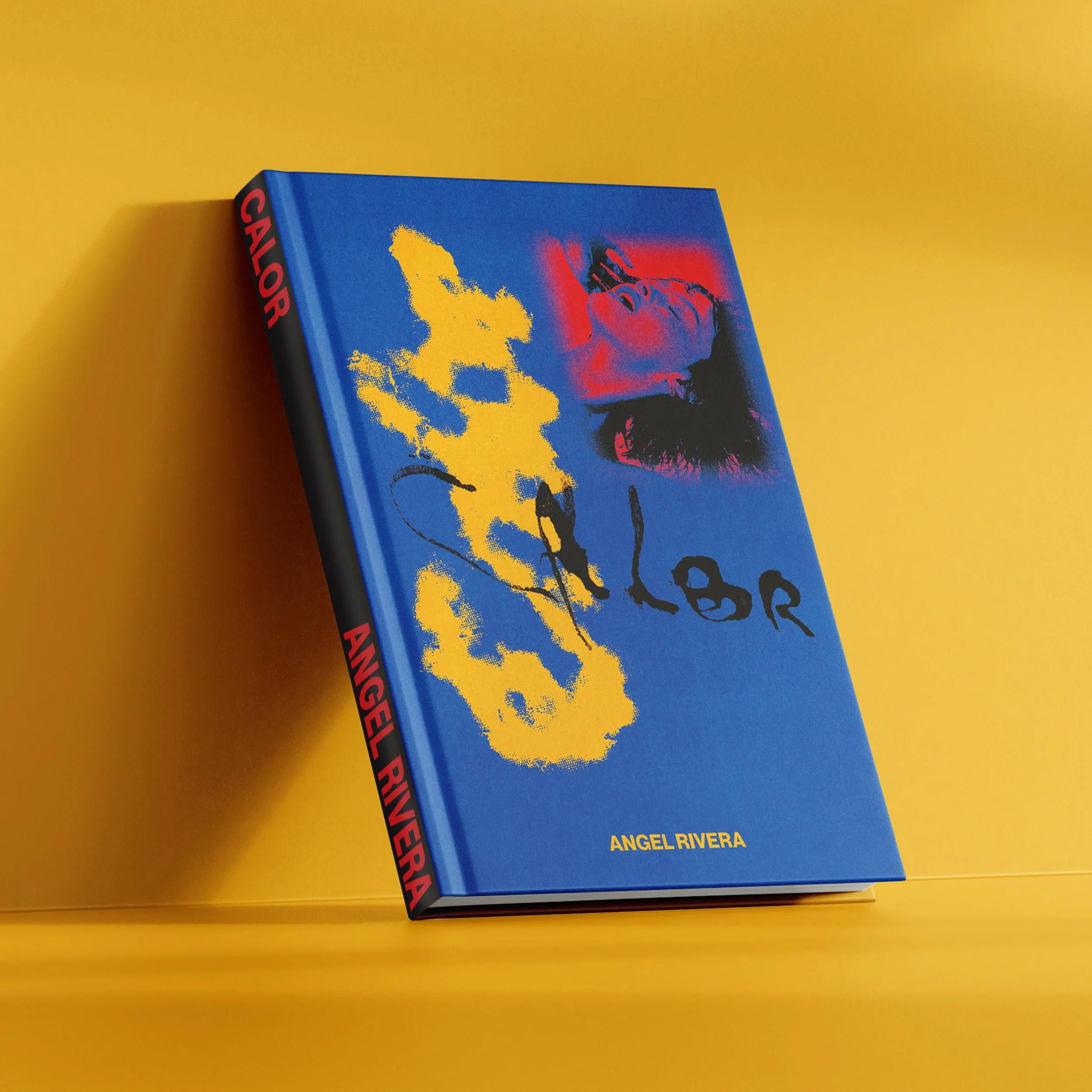 BOOKMOCKUPS-FINAL1.jpg