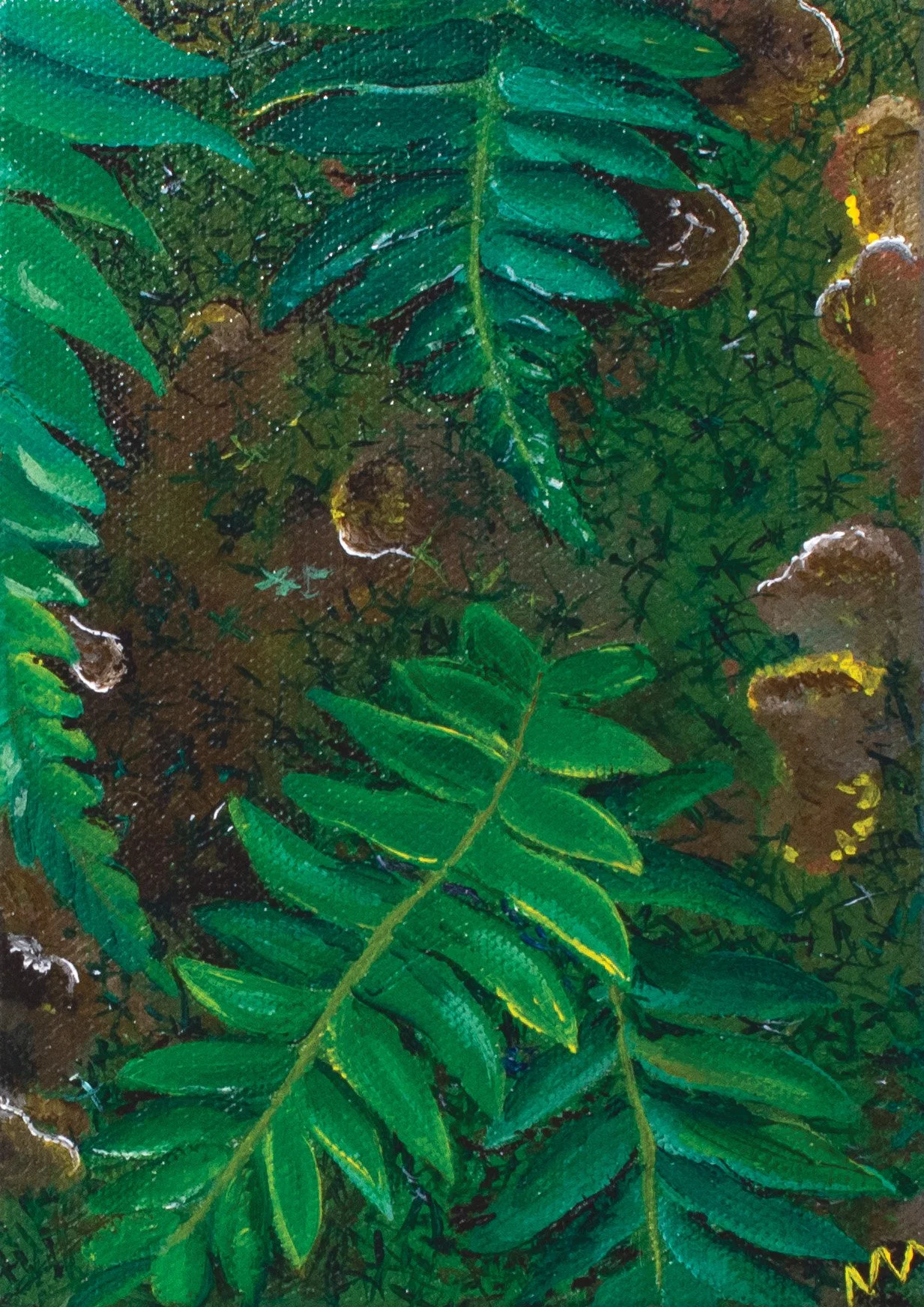 reflecting on 2025, hoping for 2026