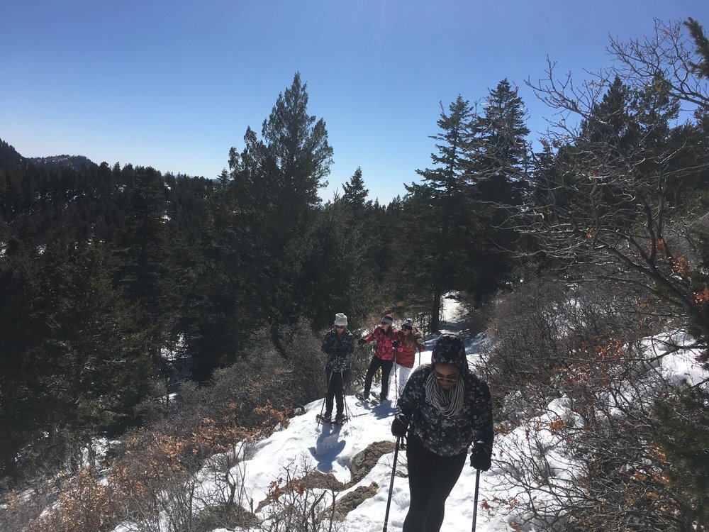 Sandia Mountain Snowshoe Tours — MST Adventures