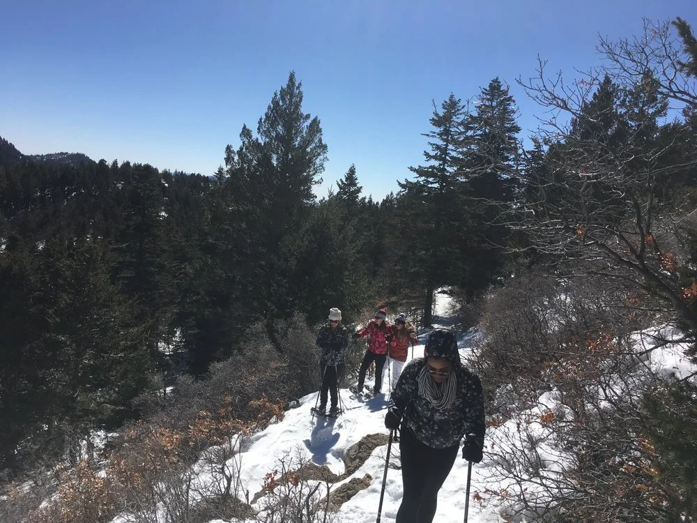 Sandia Mountain Snowshoe Tours Mst Adventures