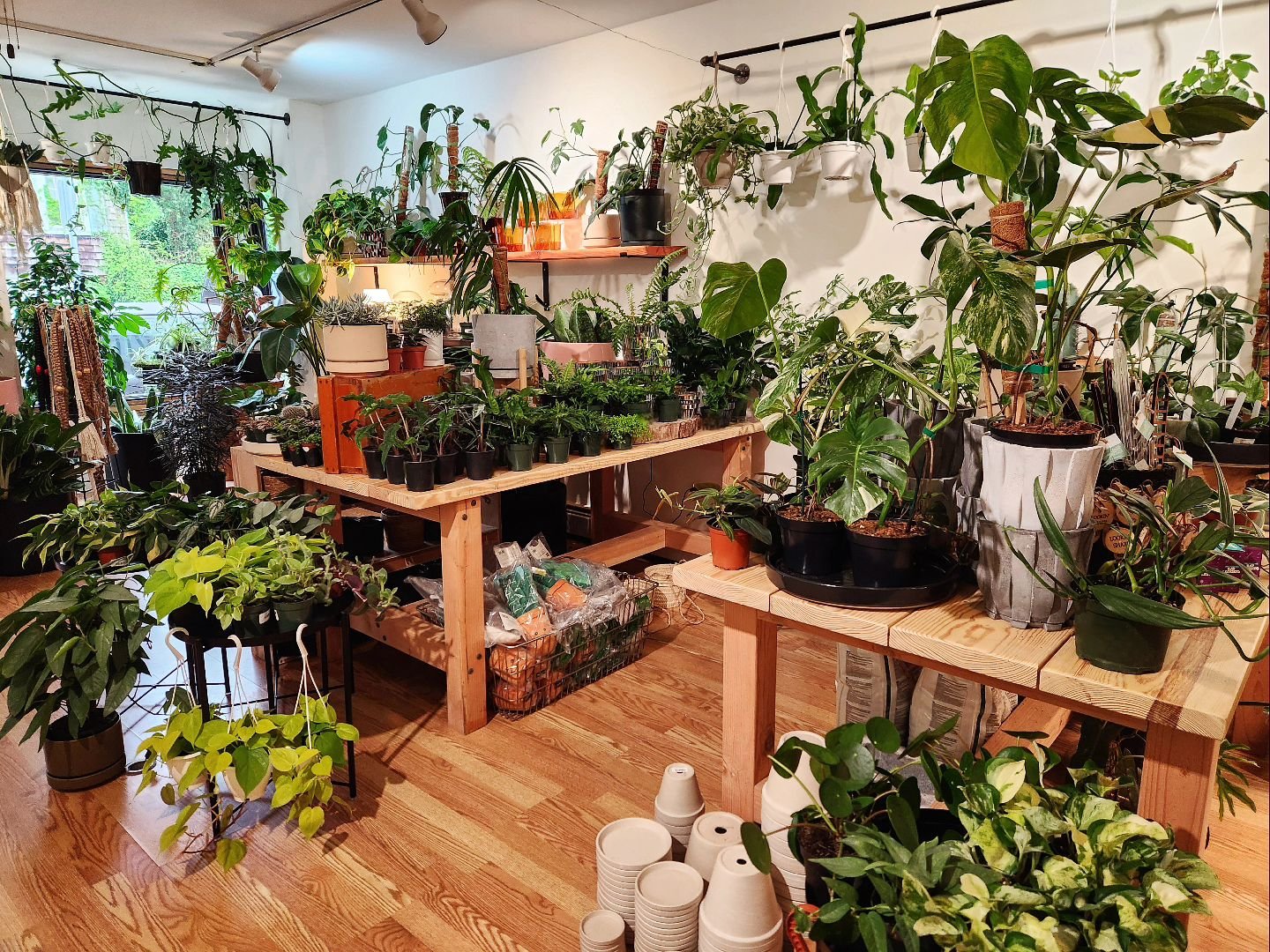 We're Mother's Day ready! 🌿🖤

You have 10 days to get your mom the perfect gift!! 🪴

Open from 11 am to 6 pm today!

See you soon!
.
.

#shoplocal
#shopsmall
#shoplongisland 
#mothersday 
#wildportjeff 
#houseplantshop 
#plantshop 
#portjefferson 