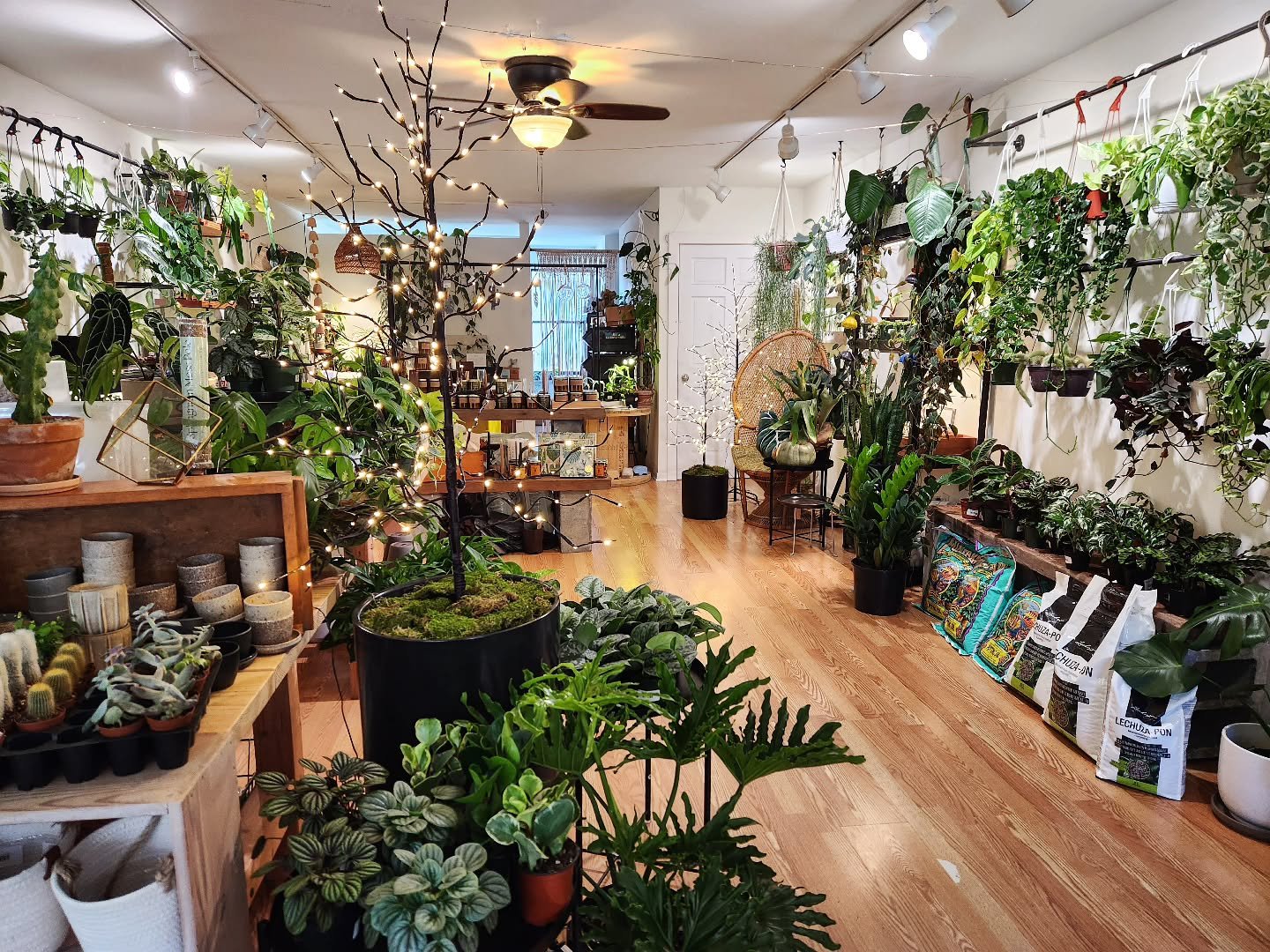 Happy Thanksgiving!! 🦃🌿🖤

We hope everyone has a great day! 

☆

Check back tomorrow for a couple things - A promotion for you and to help celebrate Small Buisness Saturday, a fun giveaway!! 

See you soon!
.
.

#shoplocal
#shoplocalthischristmas
