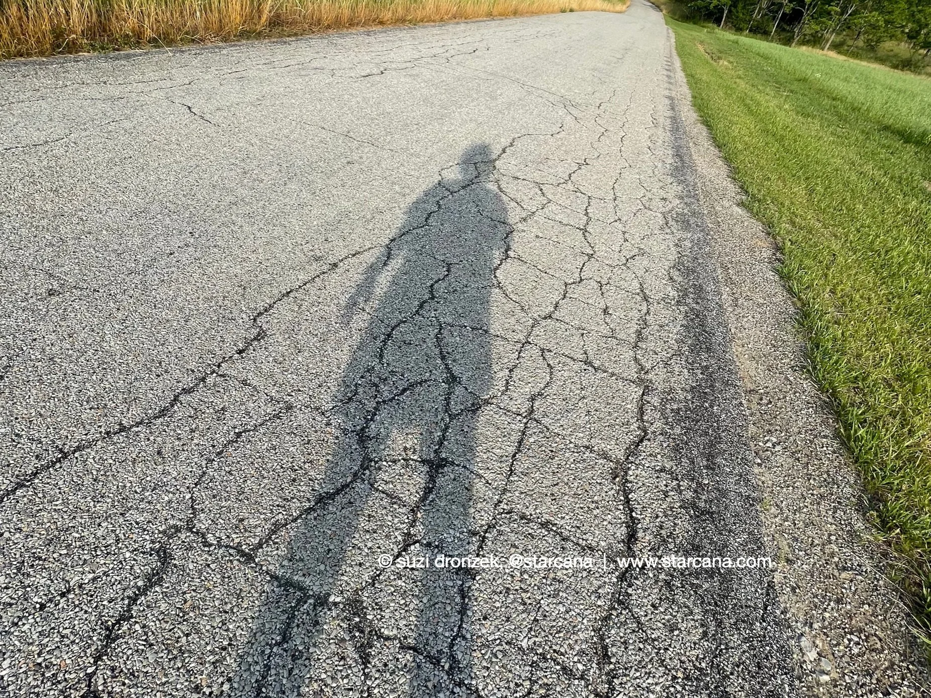 Wondering How to Wander Again | Sagittarius New Moon, Mercury rx