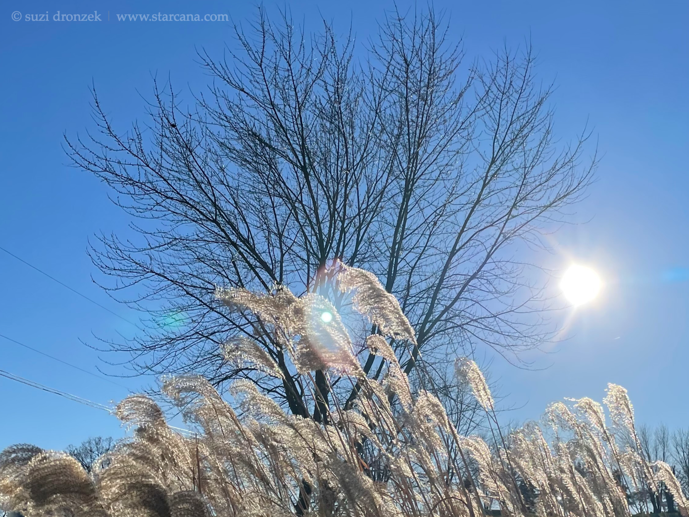 Changing Directions Like The Wind