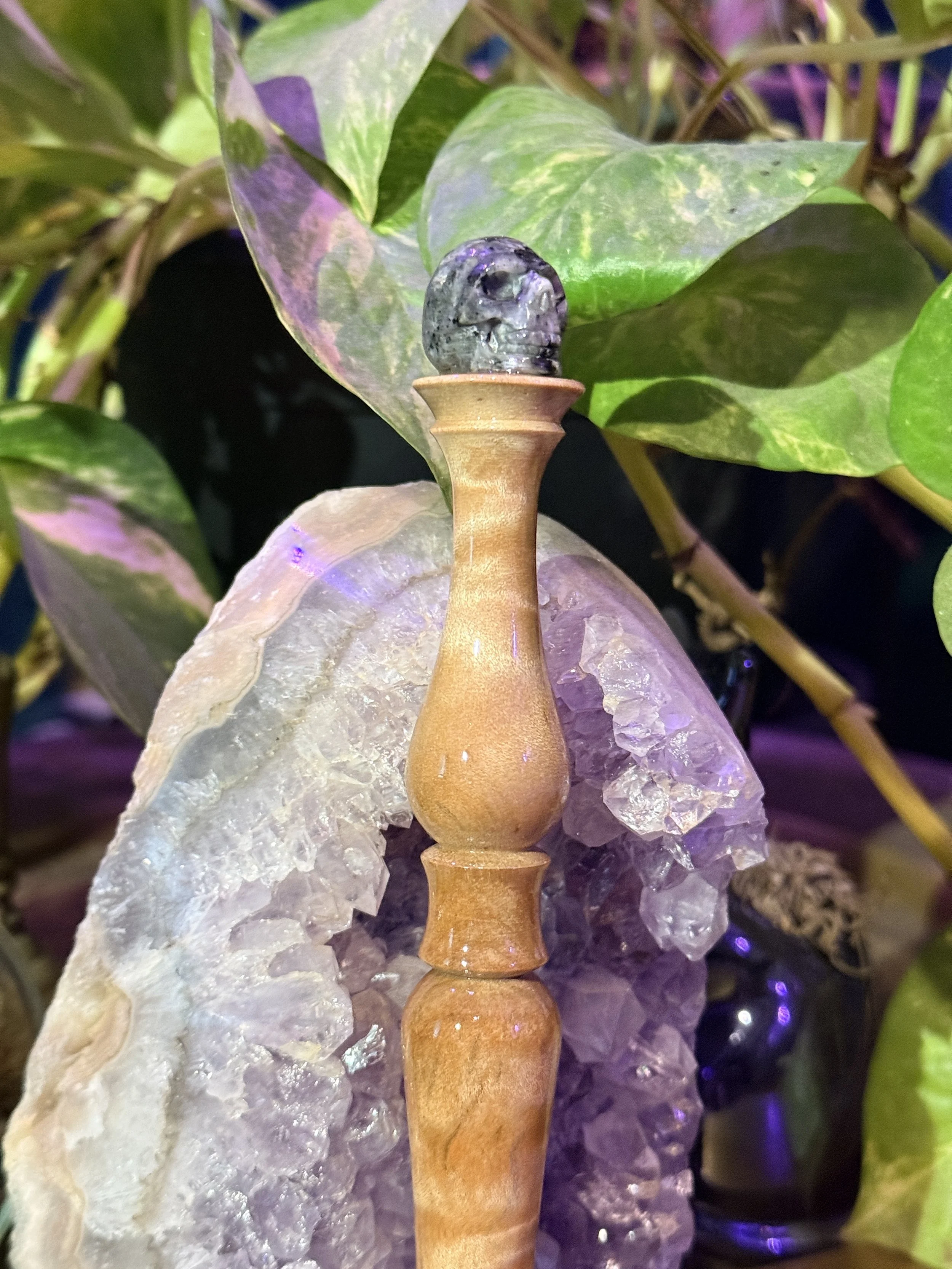 IMG_6953.JPG