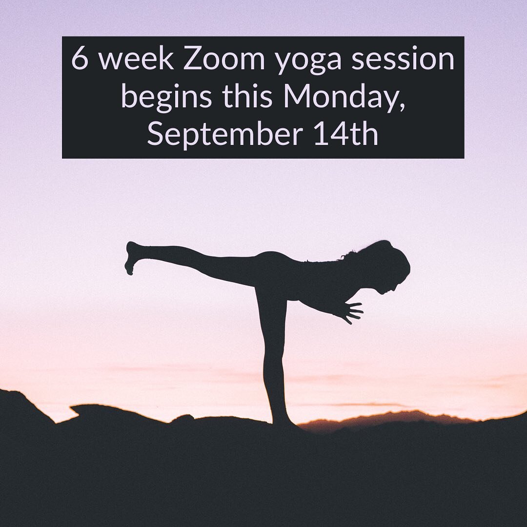 90 minute classes plus Zoom recording. For further information and to register, visit www.angelikatishlerwellness.com. 🧘🏼&zwj;♂️ #yoga #hathayoga #vinyasaflow #mono #meditation #relax #grounding