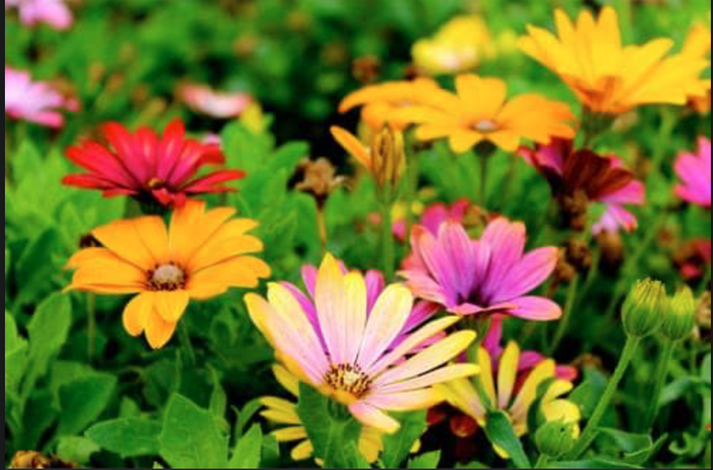 Receive God’s Blessings