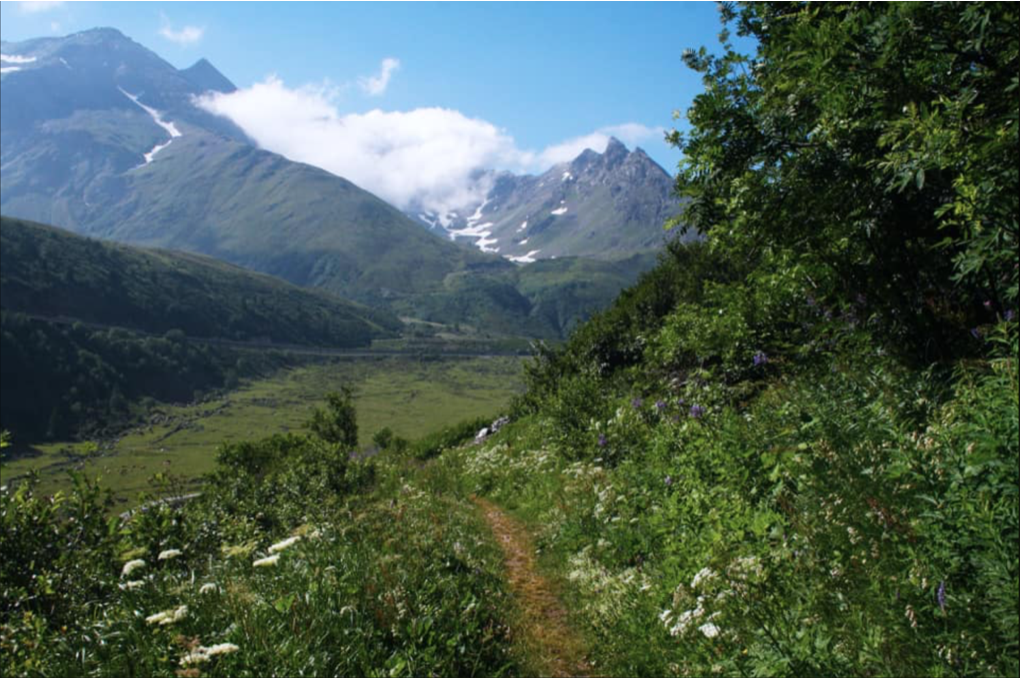 Be Led to an Open Place