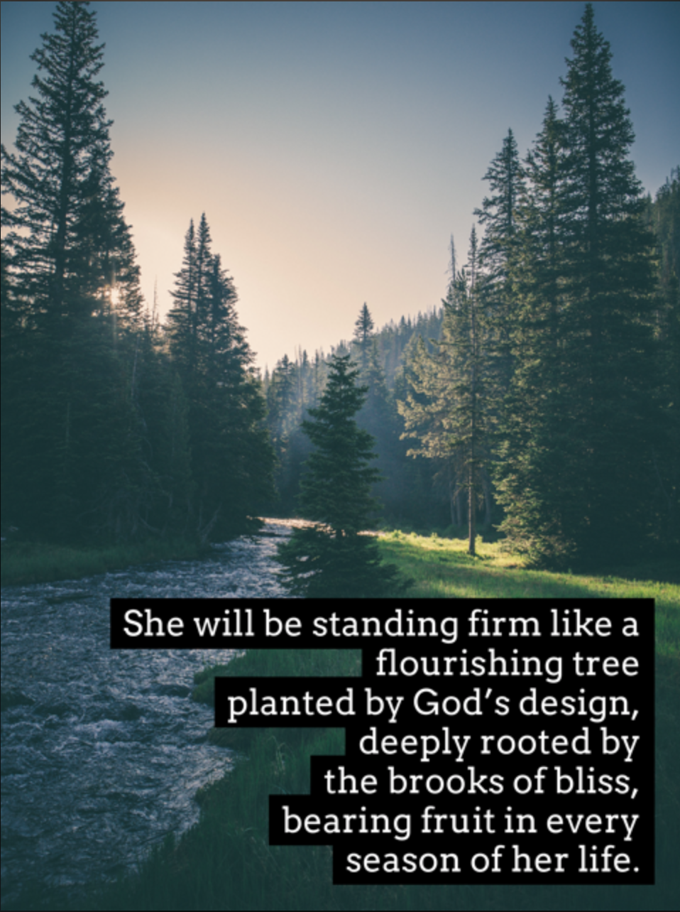 Rooted in God’s Truth