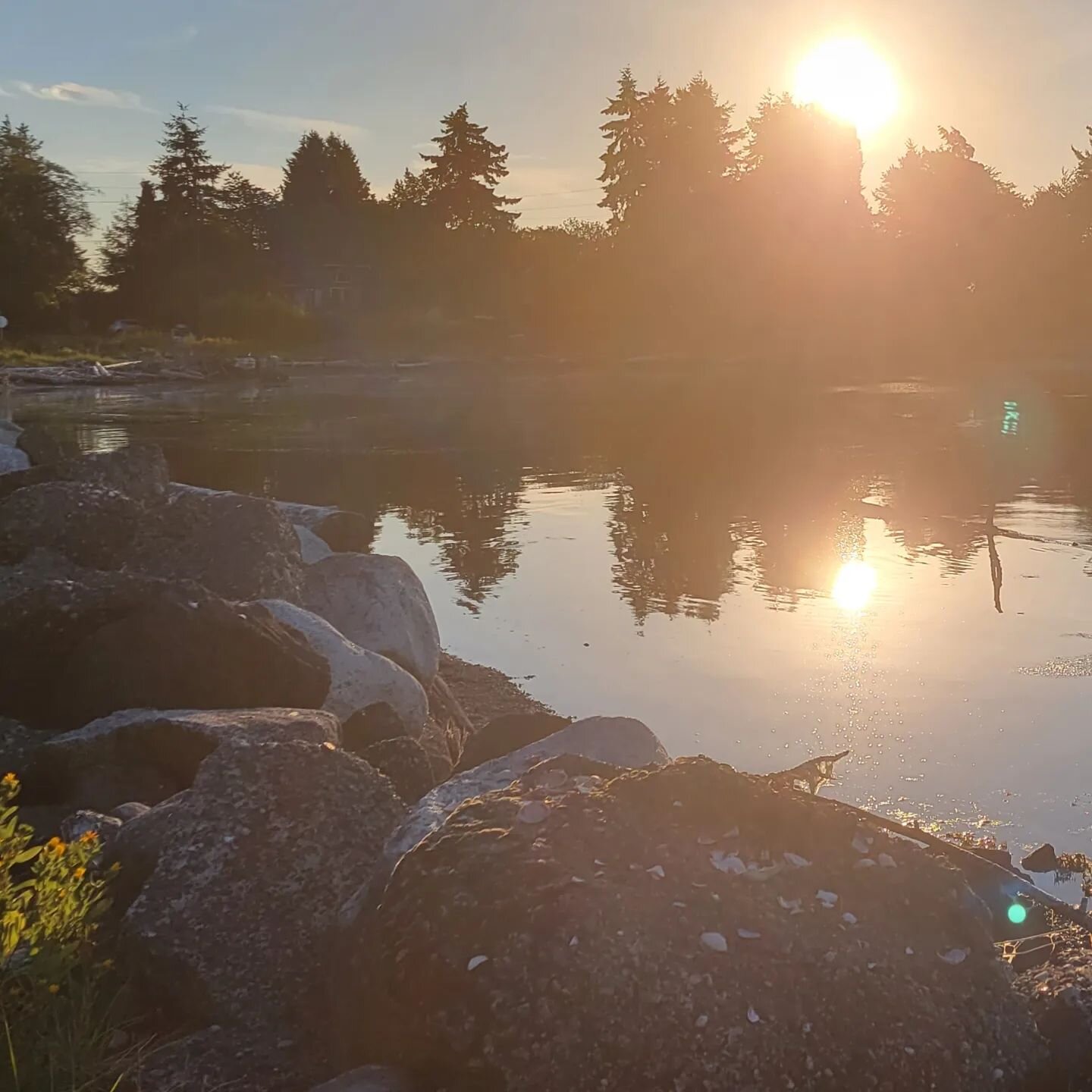 Oh what a beautiful morning

#vashon #notoklahoma #Vashonlife #vashonvacationrental #vashonislandlife #islandlife #isthmuslife #islandtime #islandvacation