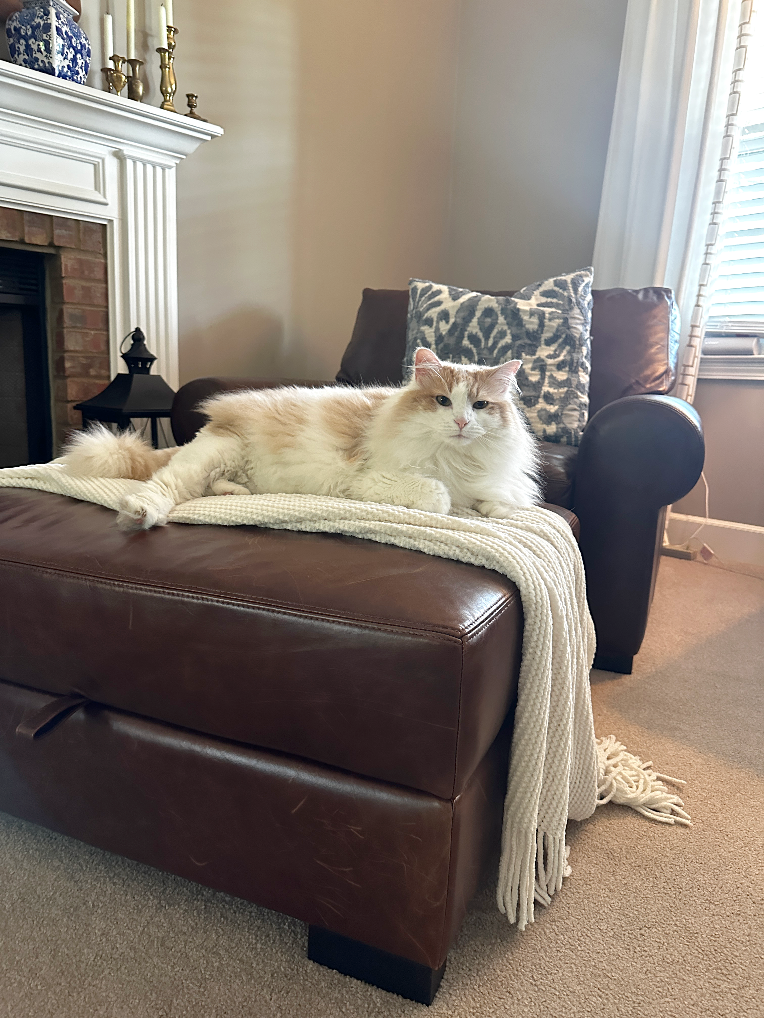 cocochair.png