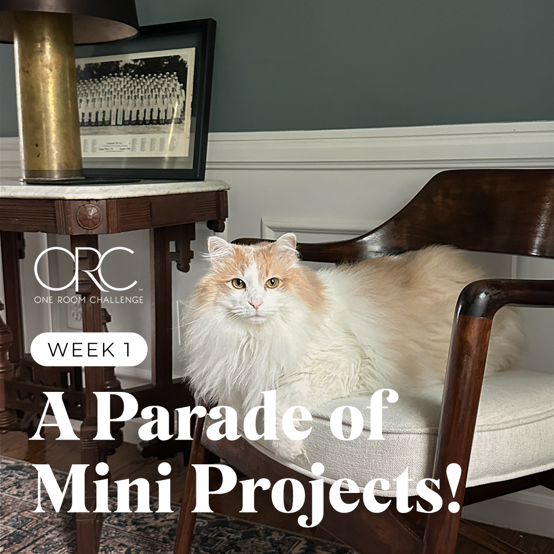 A Parade of Mini Projects! | One Room Challenge, Week 1