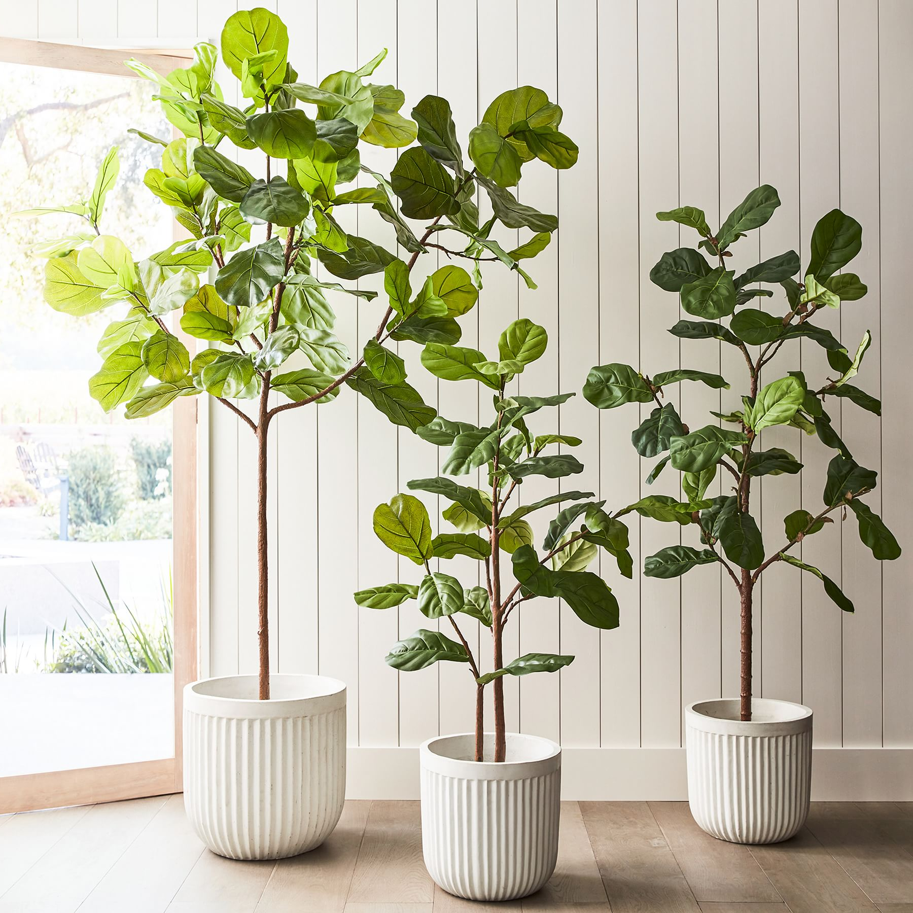 Faux Fiddle Leaf Fig Trees