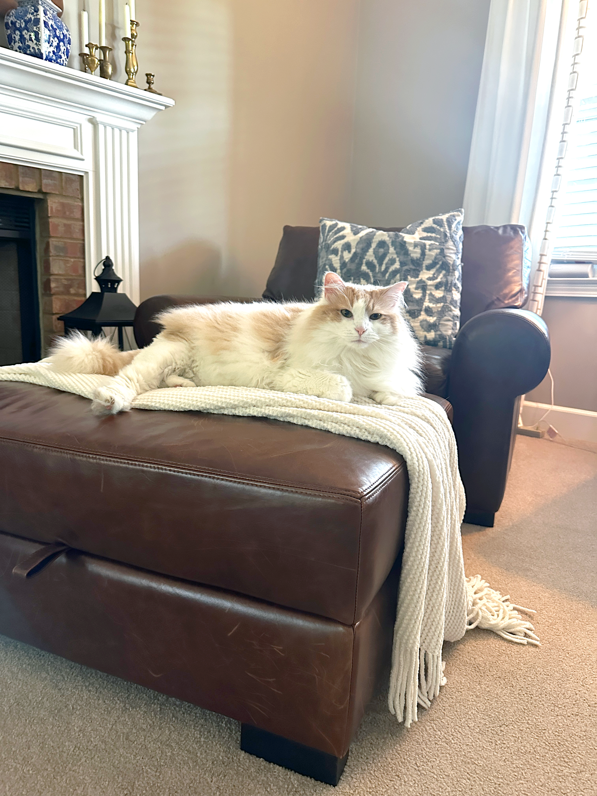 Pottery Barn Turner Roll Arm Leather Chair Review